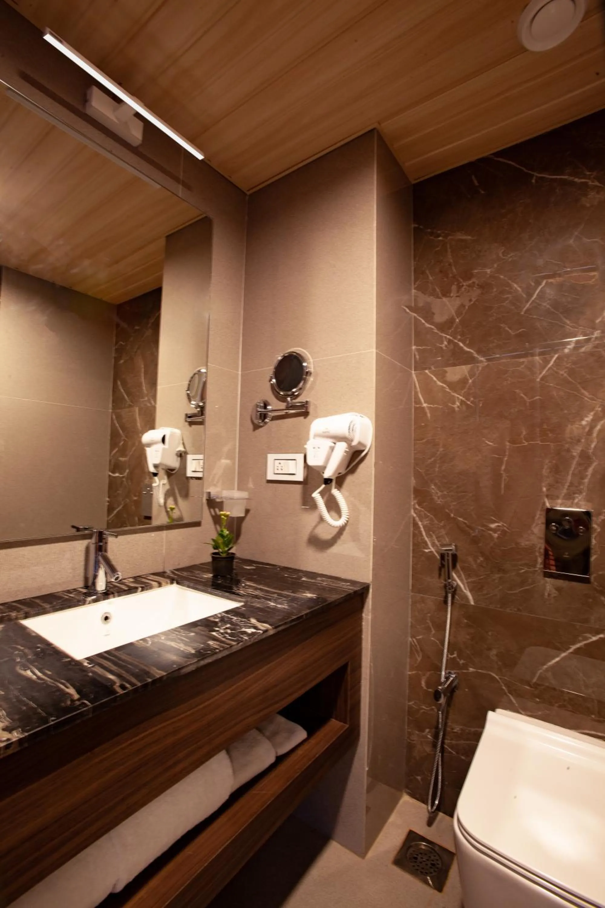 Toilet in Royale Exotica, Goa