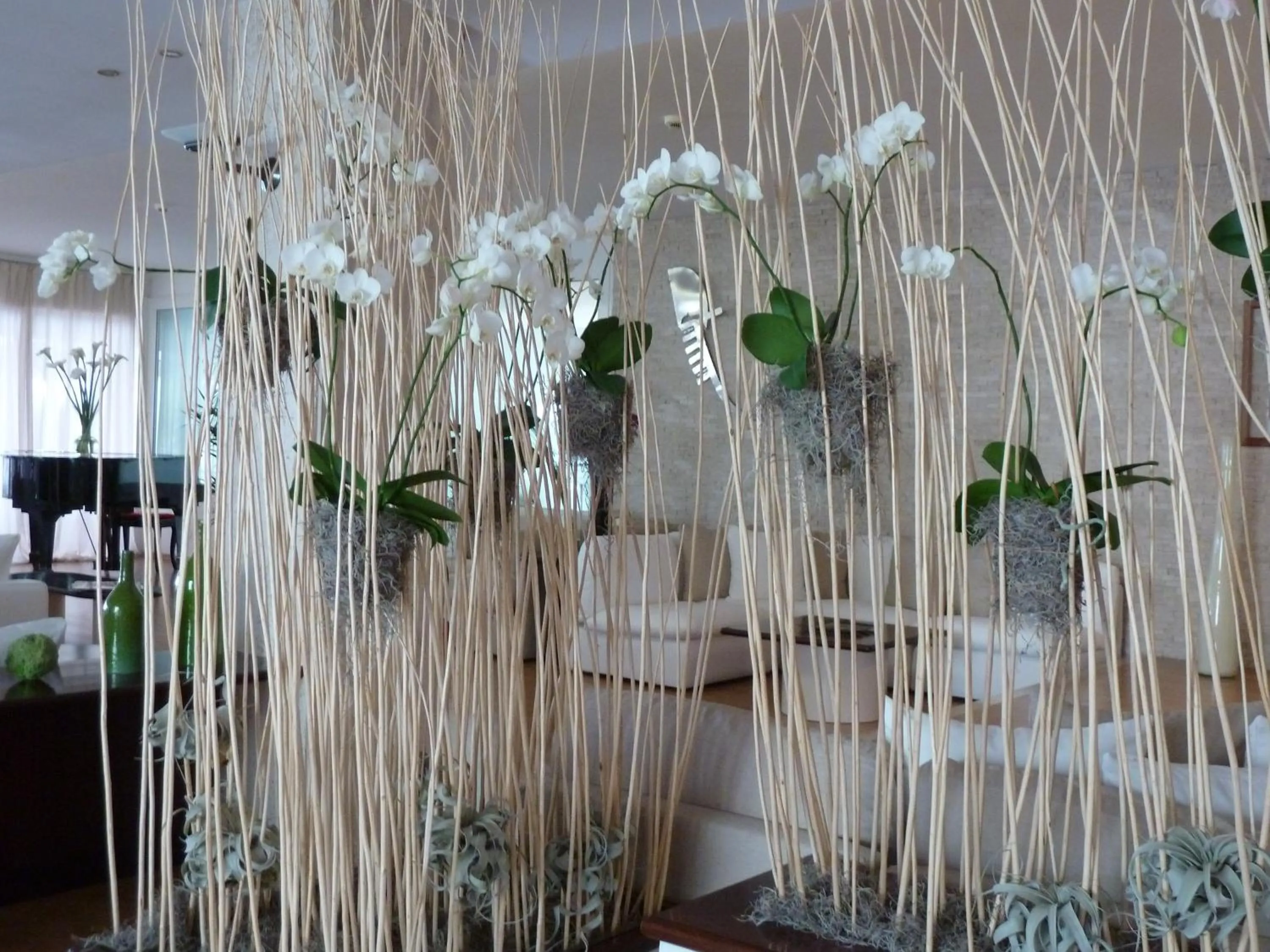 Lounge or bar in Hotel Bauer & Sporting