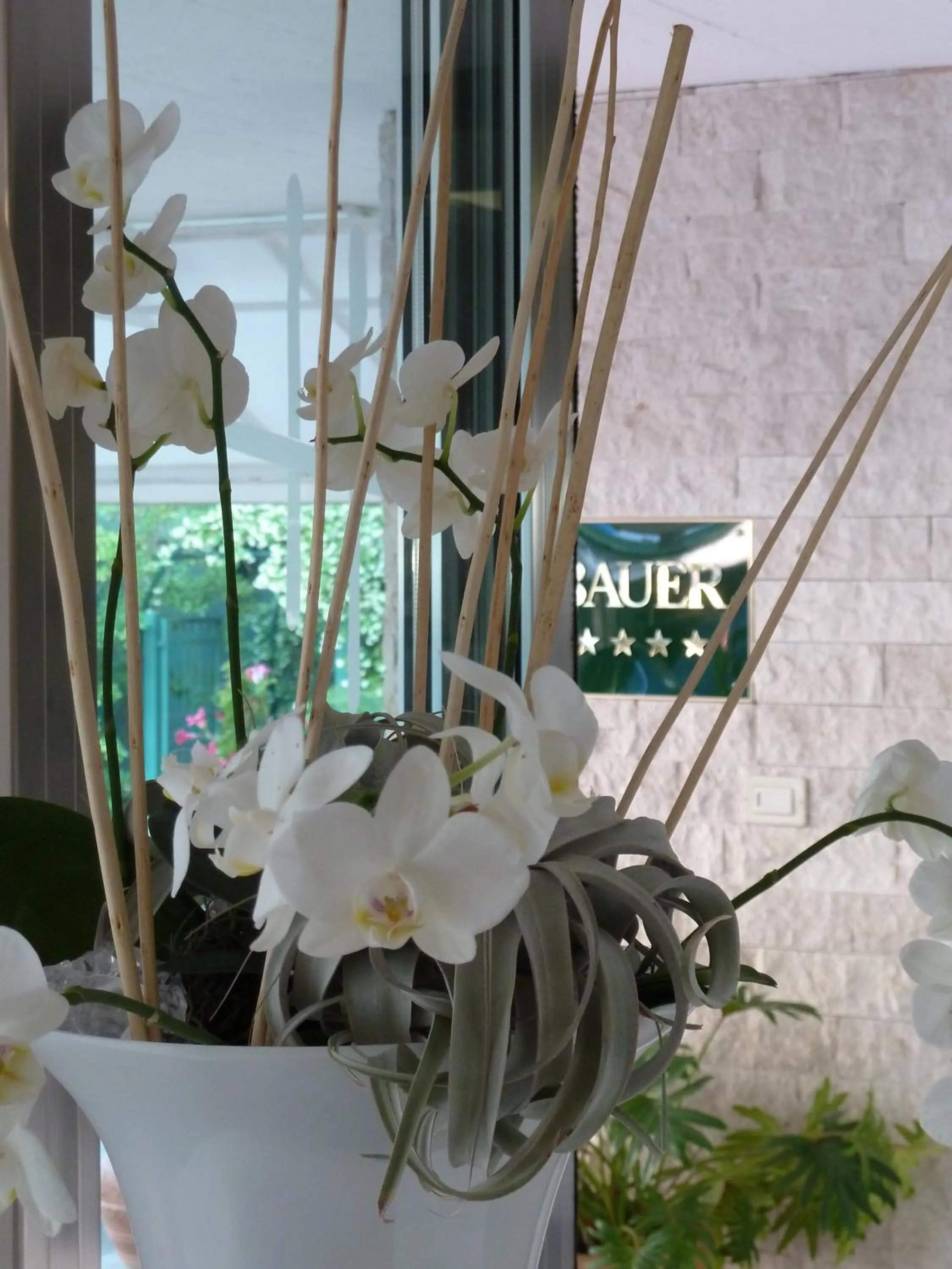 Property logo or sign in Hotel Bauer & Sporting