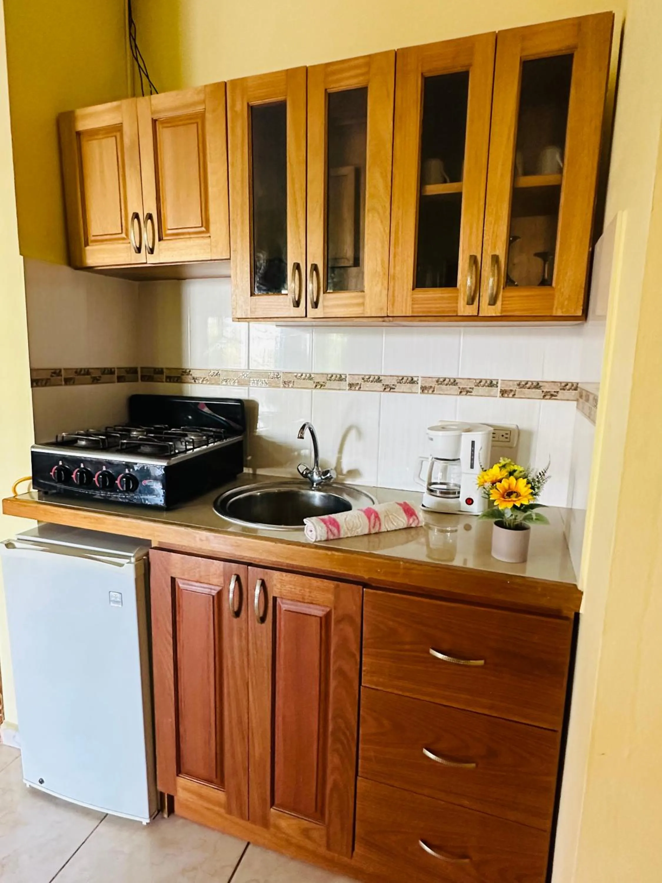 Kitchen or kitchenette in Aparthotel Michaela