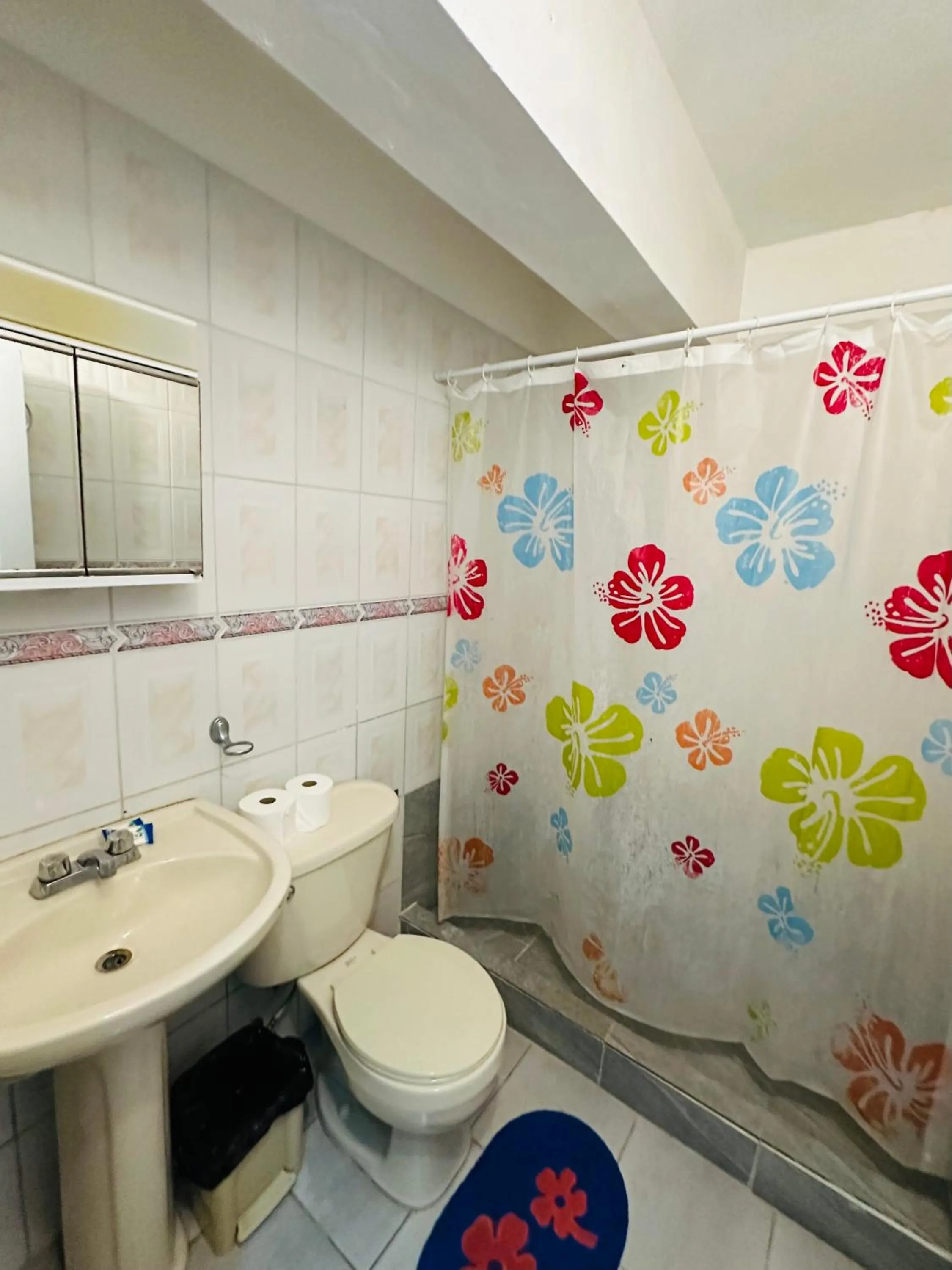 Shower in Aparthotel Michaela