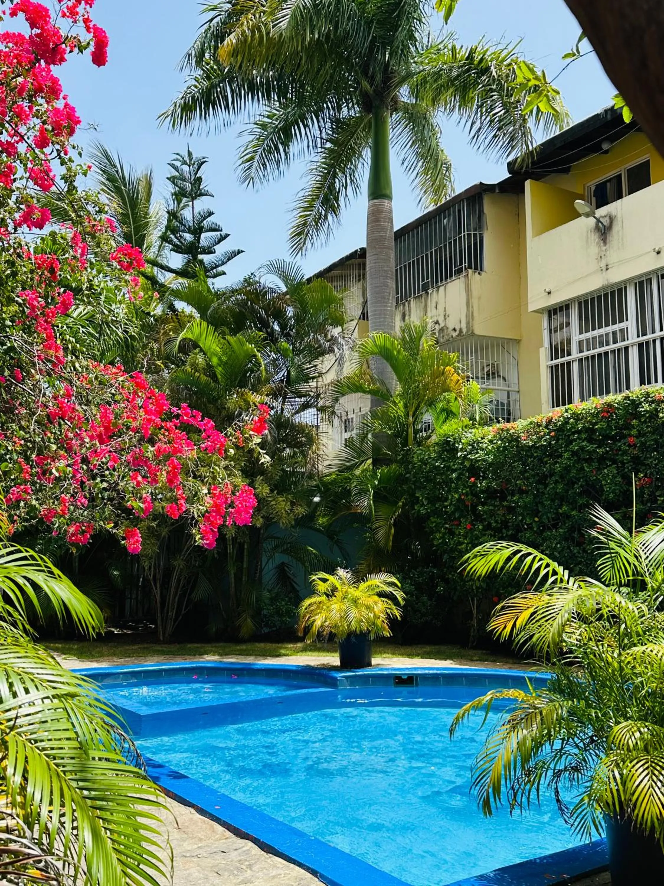 Garden in Aparthotel Michaela