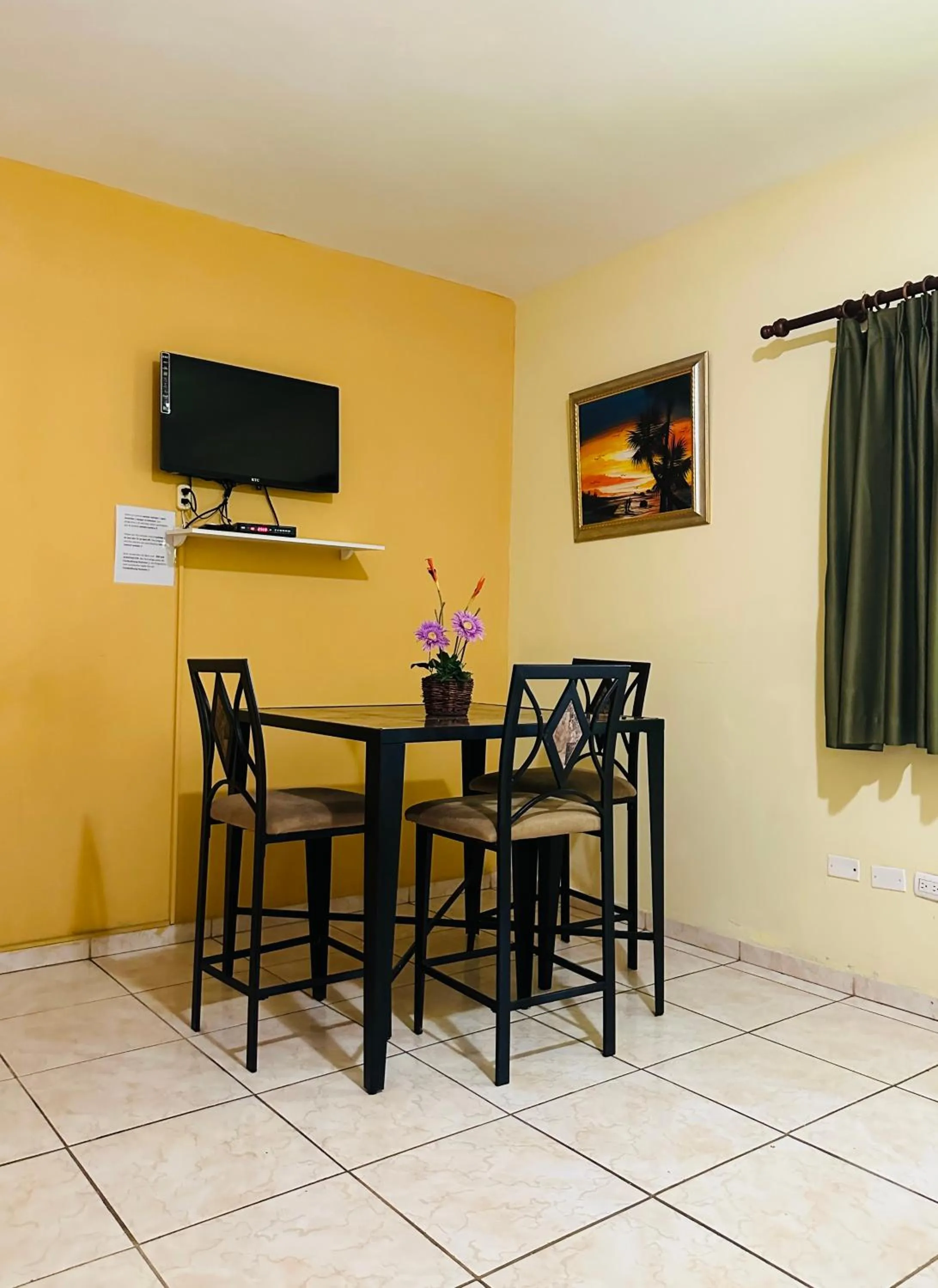 TV and multimedia in Aparthotel Michaela