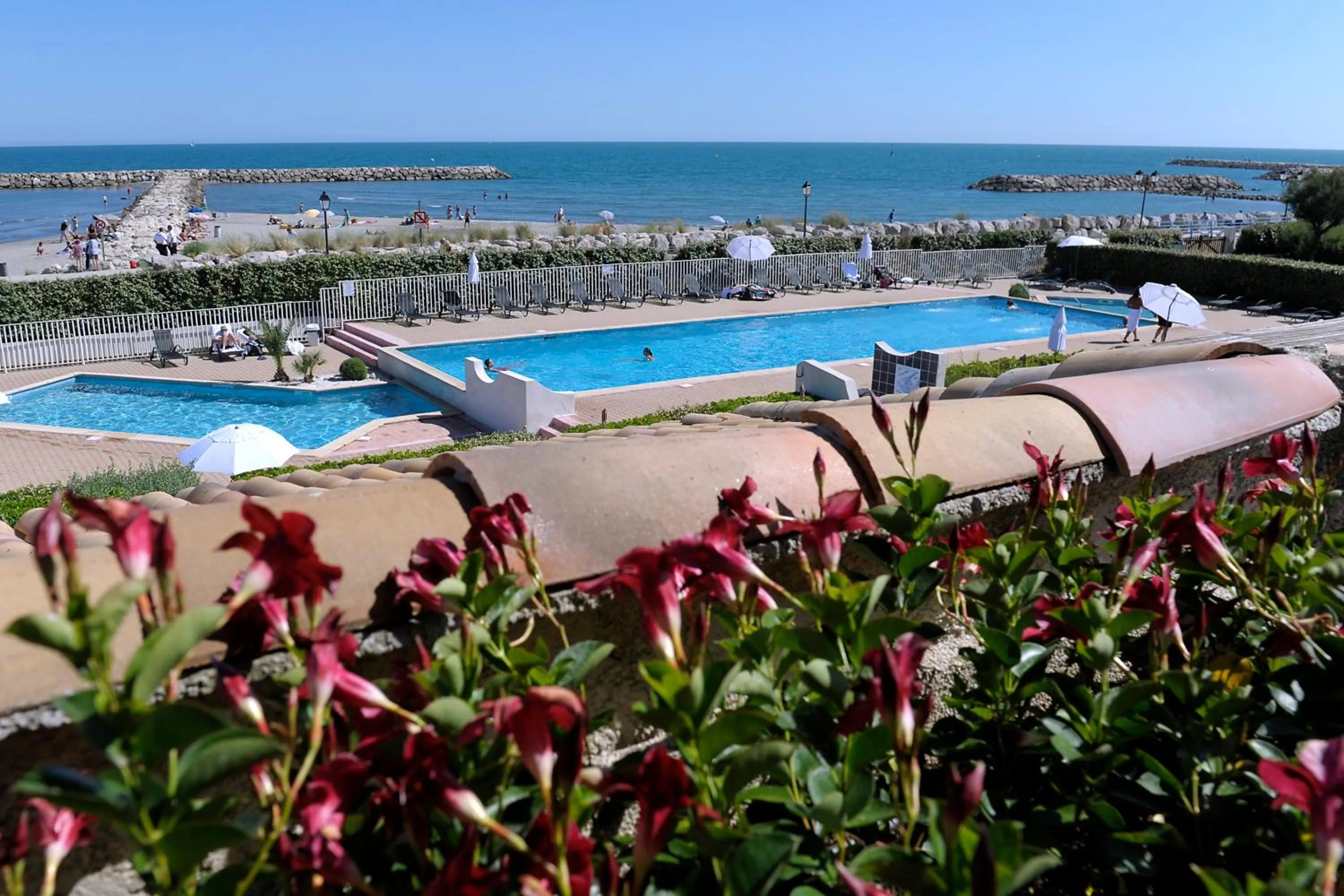 Swimming pool in Thalacap Camargue
