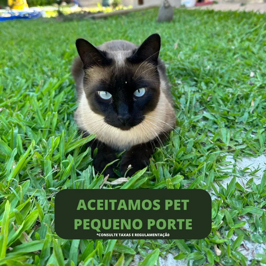 Pets in Ancoradouro Pousada