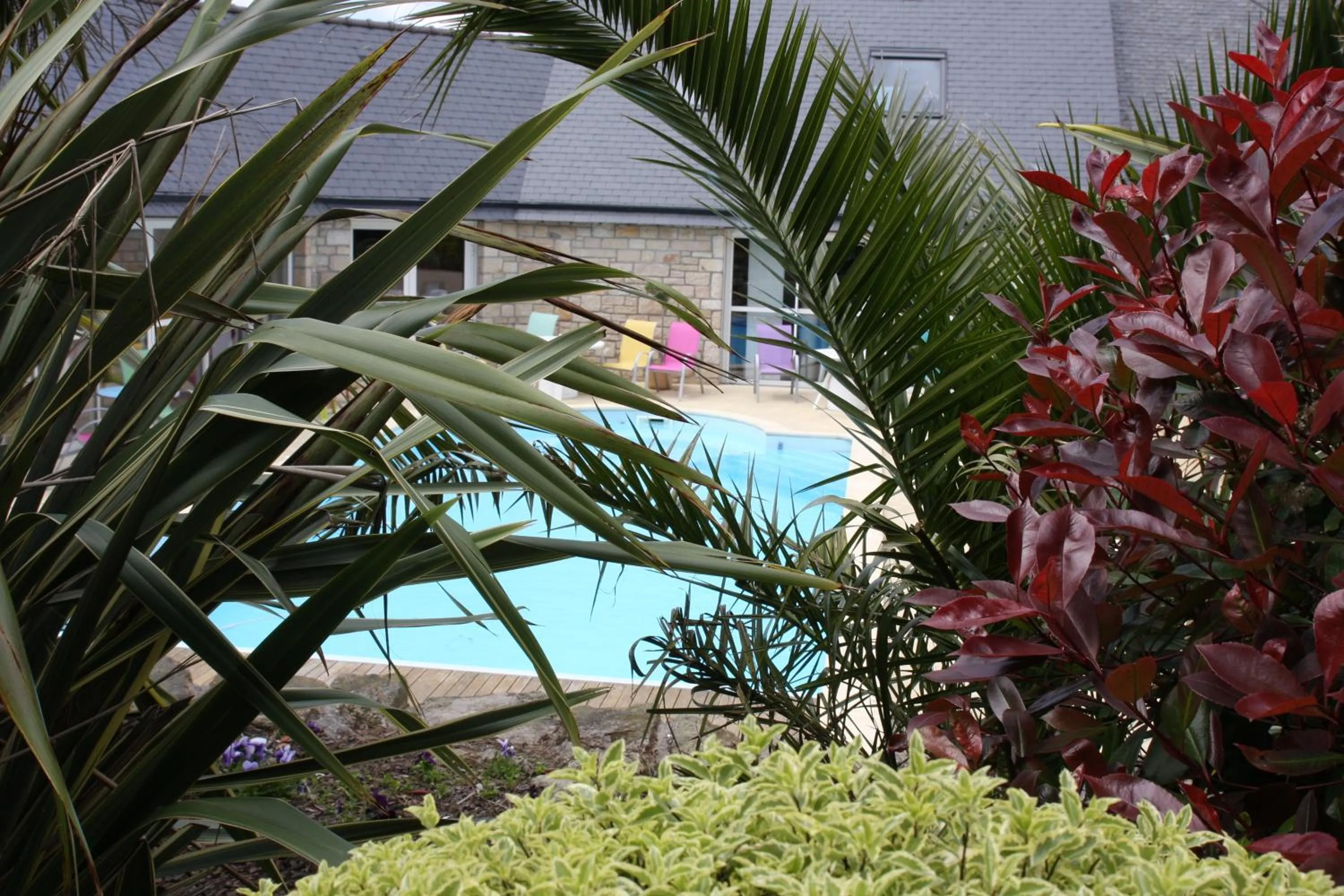 Swimming pool in L'Hippocampe