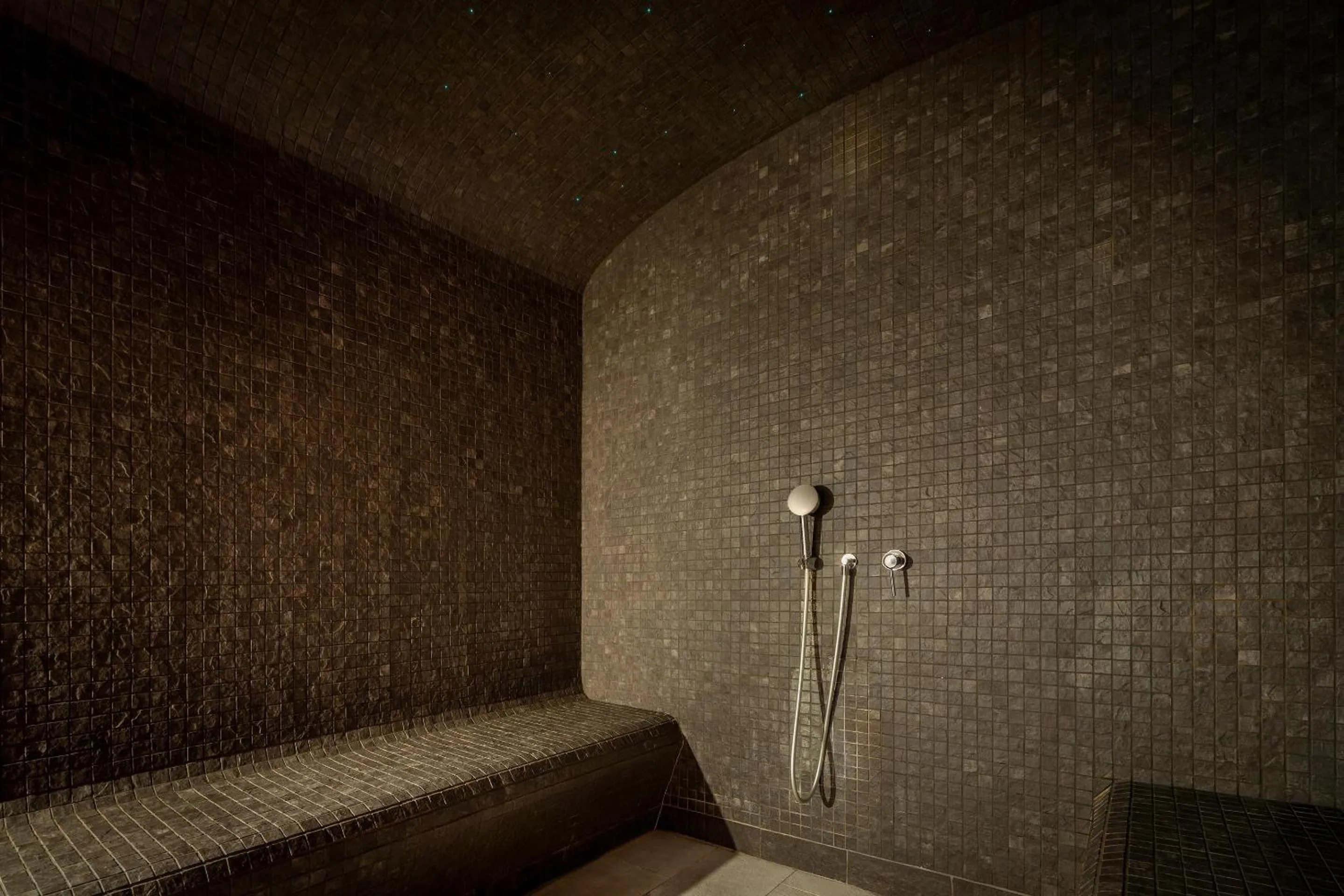 Pool view in Urban Hotel & Spa Aix-les-Bains - BW Signature Collection