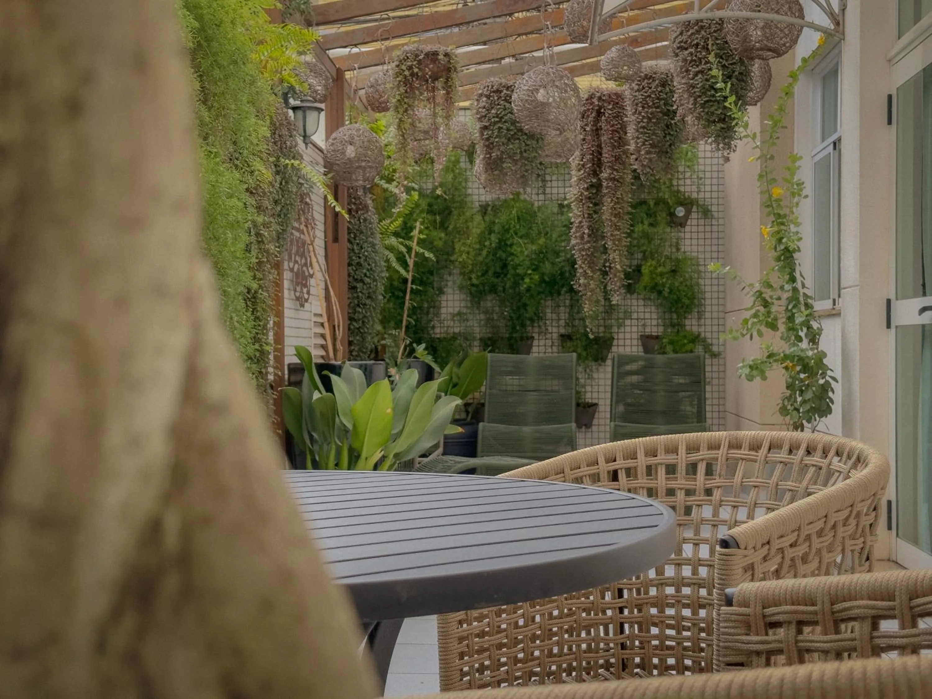 Garden in Hotel Cianorte Diamond