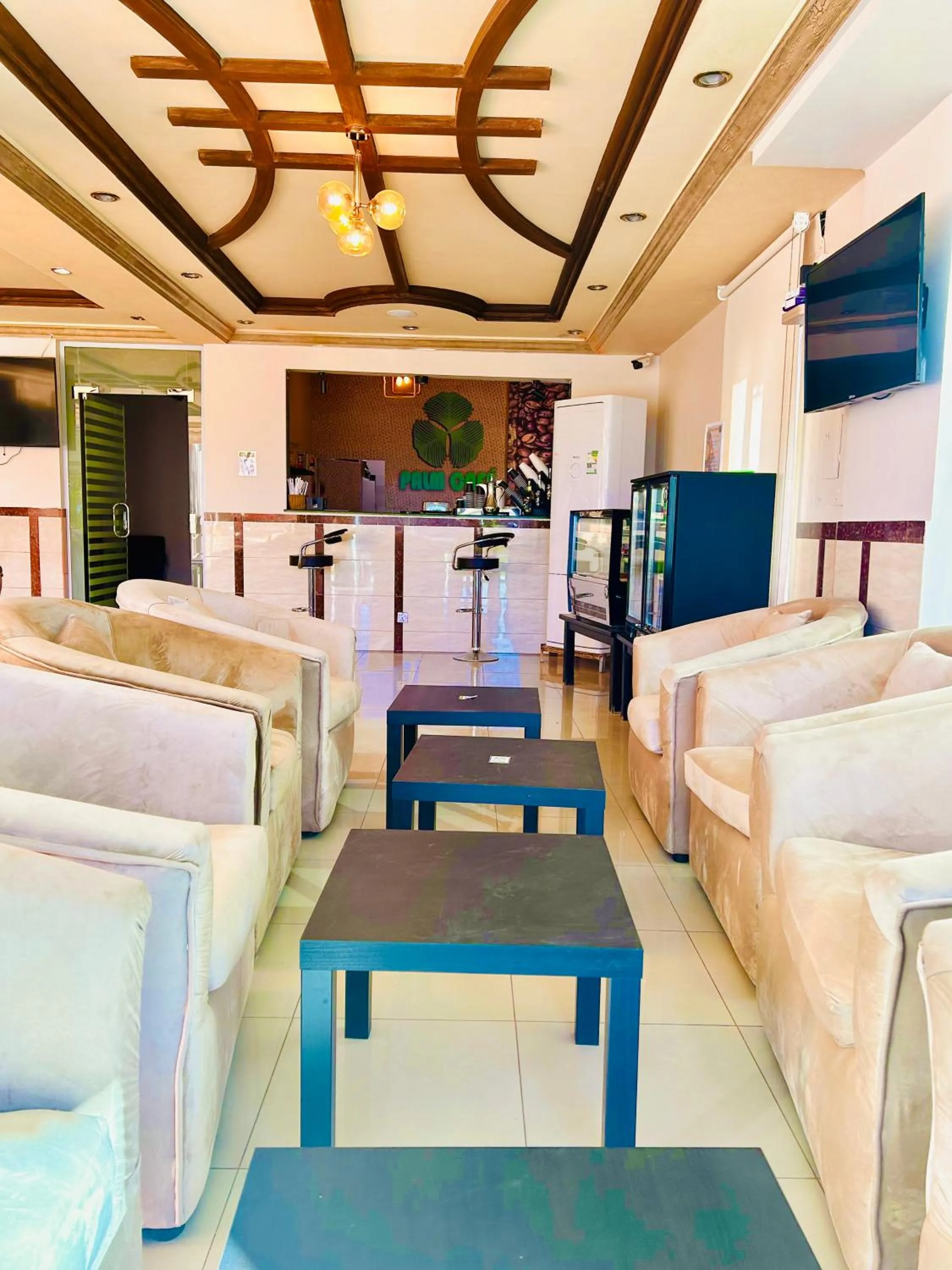 TV and multimedia in Arabian Palm Hotel