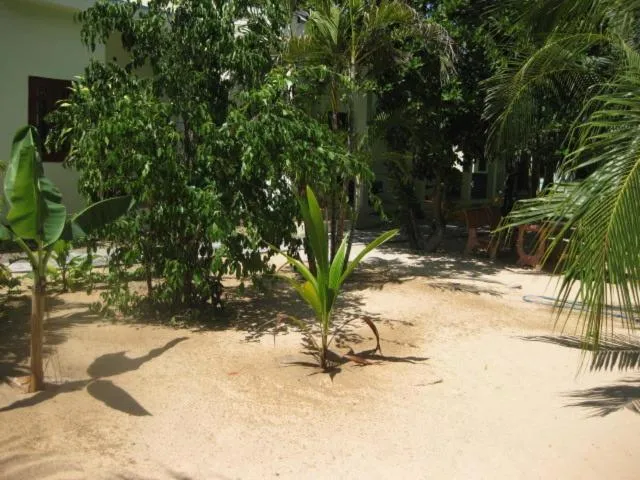Garden in Cocosand Hotel