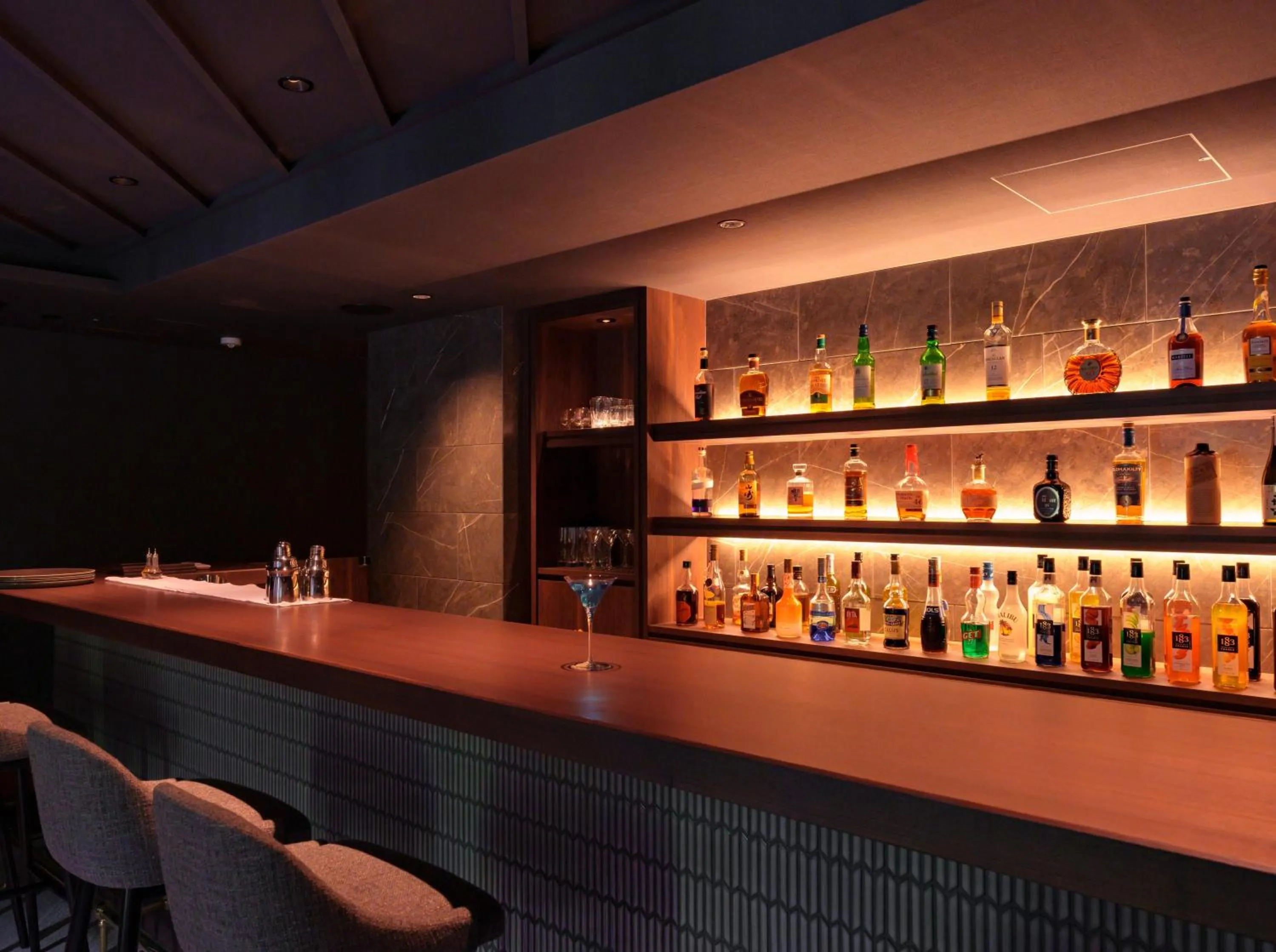 Lounge or bar in Kamikochi Lemeiesta Hotel