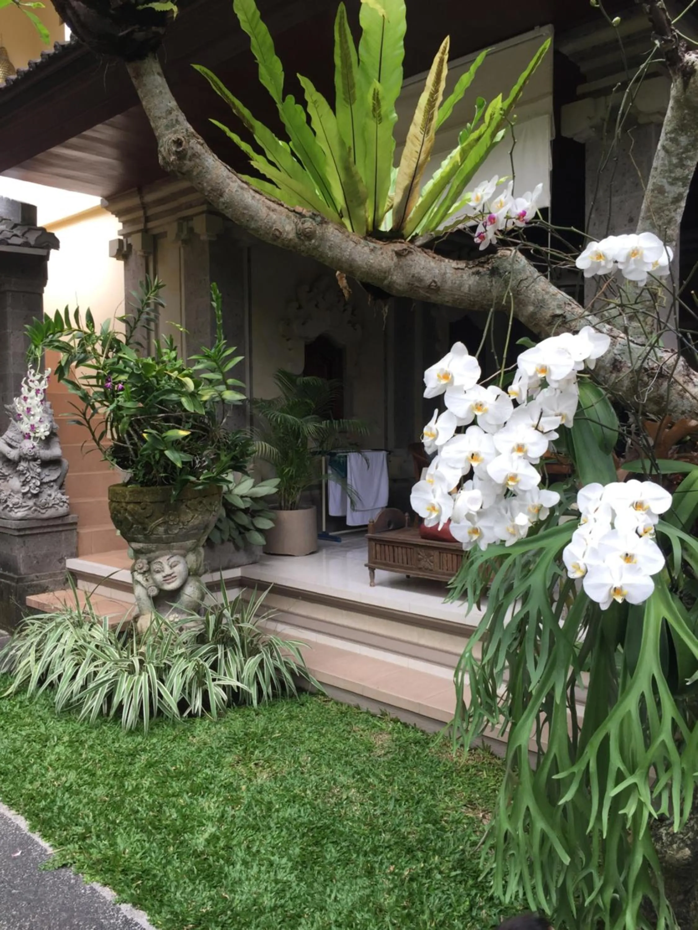 Garden view in Teja Home Stay