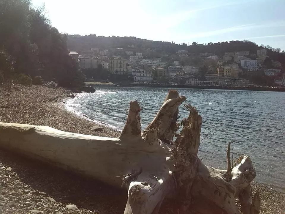 Beach in Kirillos IN CILENTO