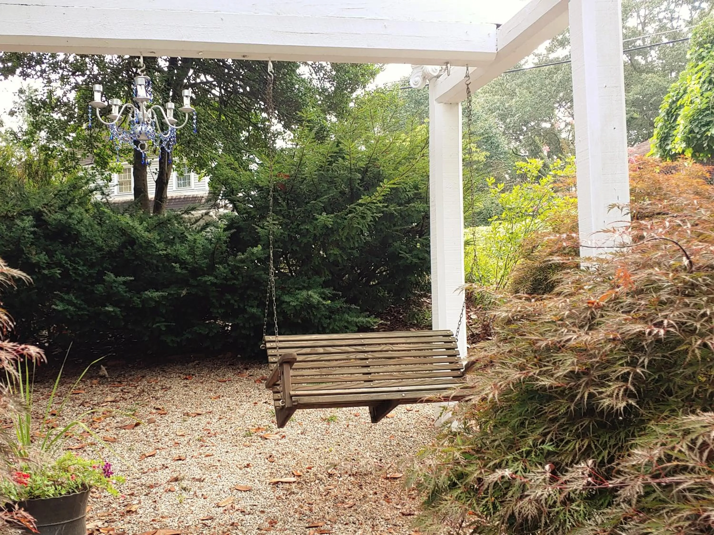 Garden in McKinley Edwards Inn