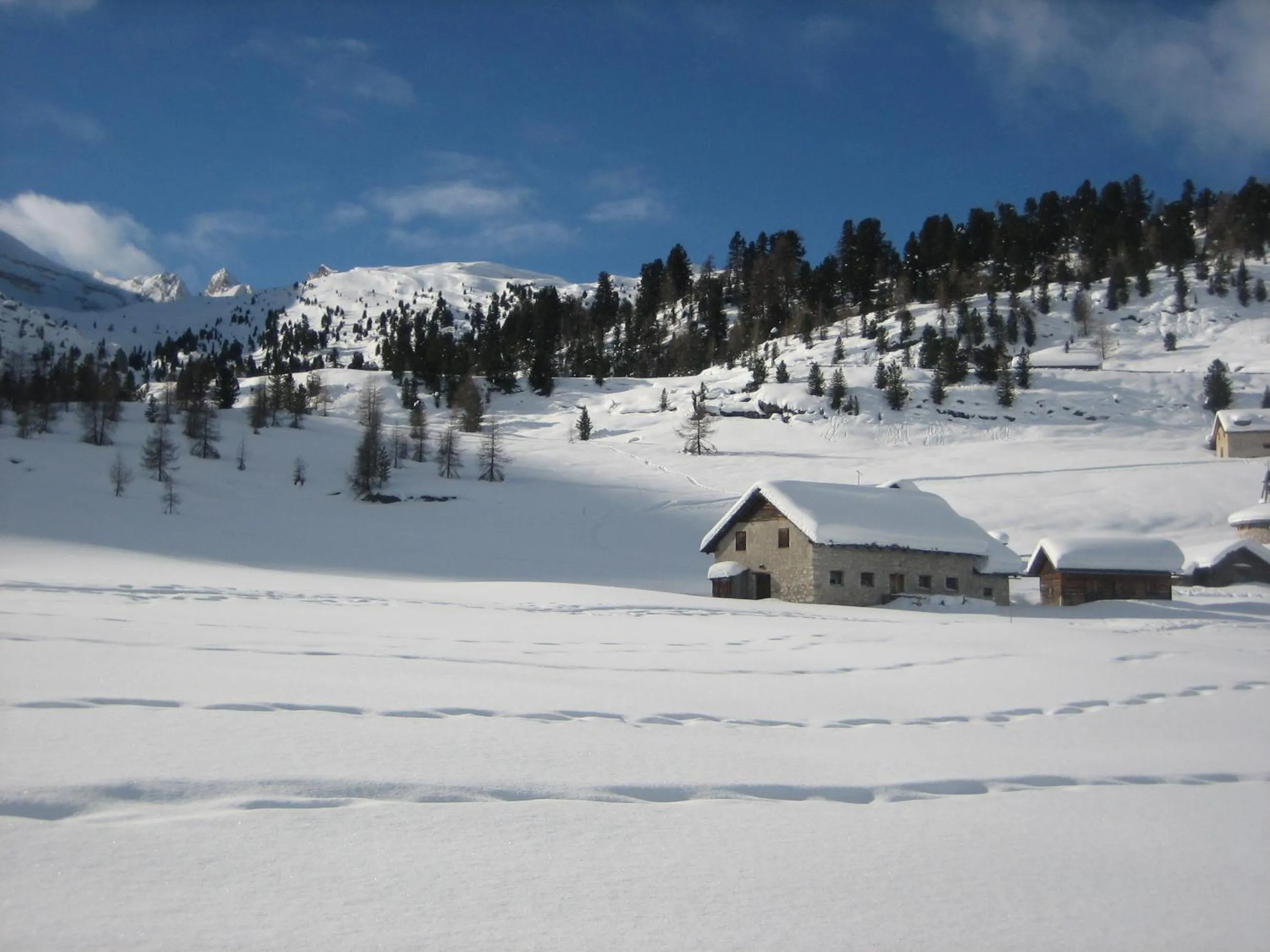 Skiing in Hotel Gran Pre