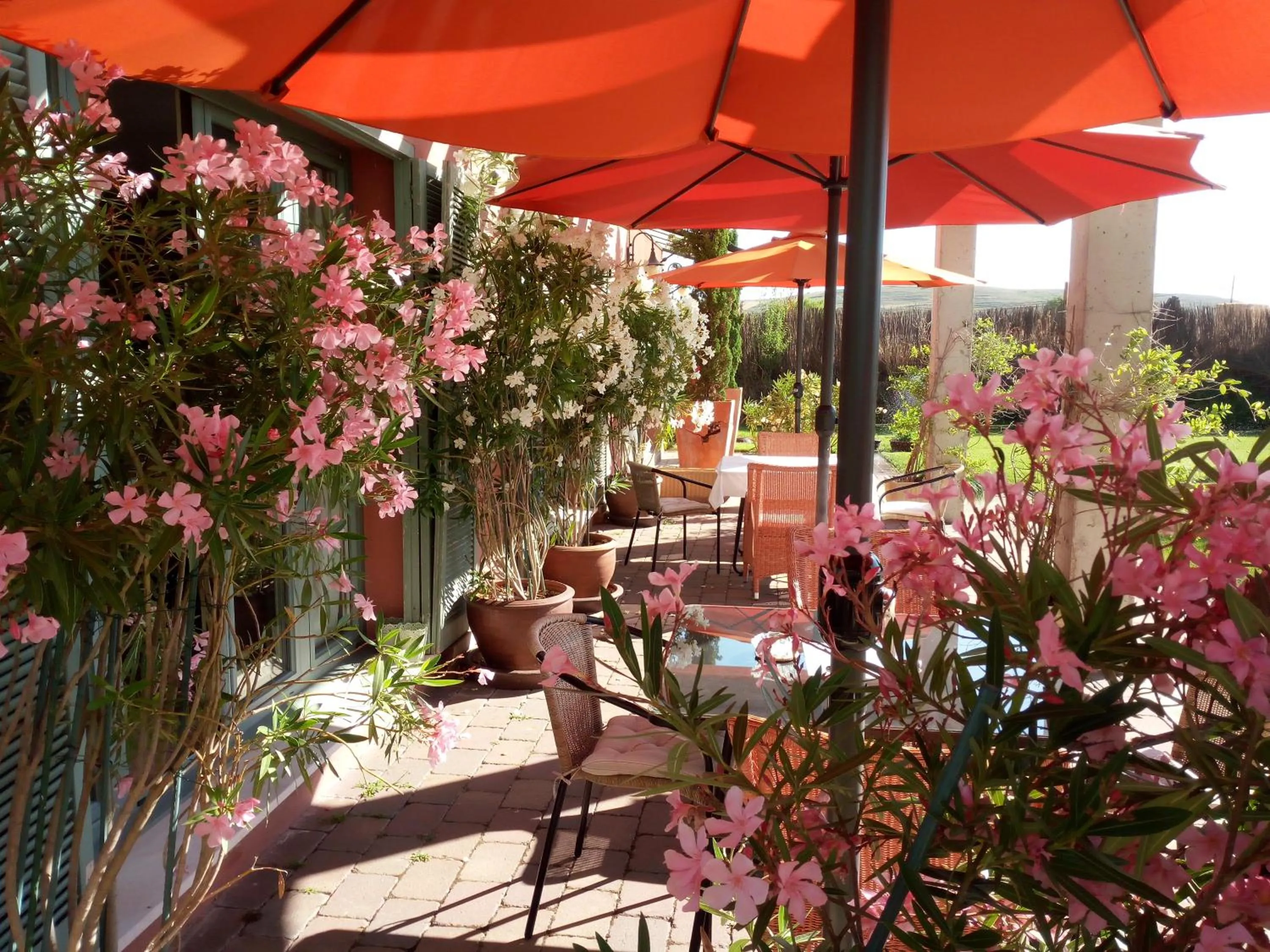 Balcony/Terrace in Hotel Santa Coloma del Camino