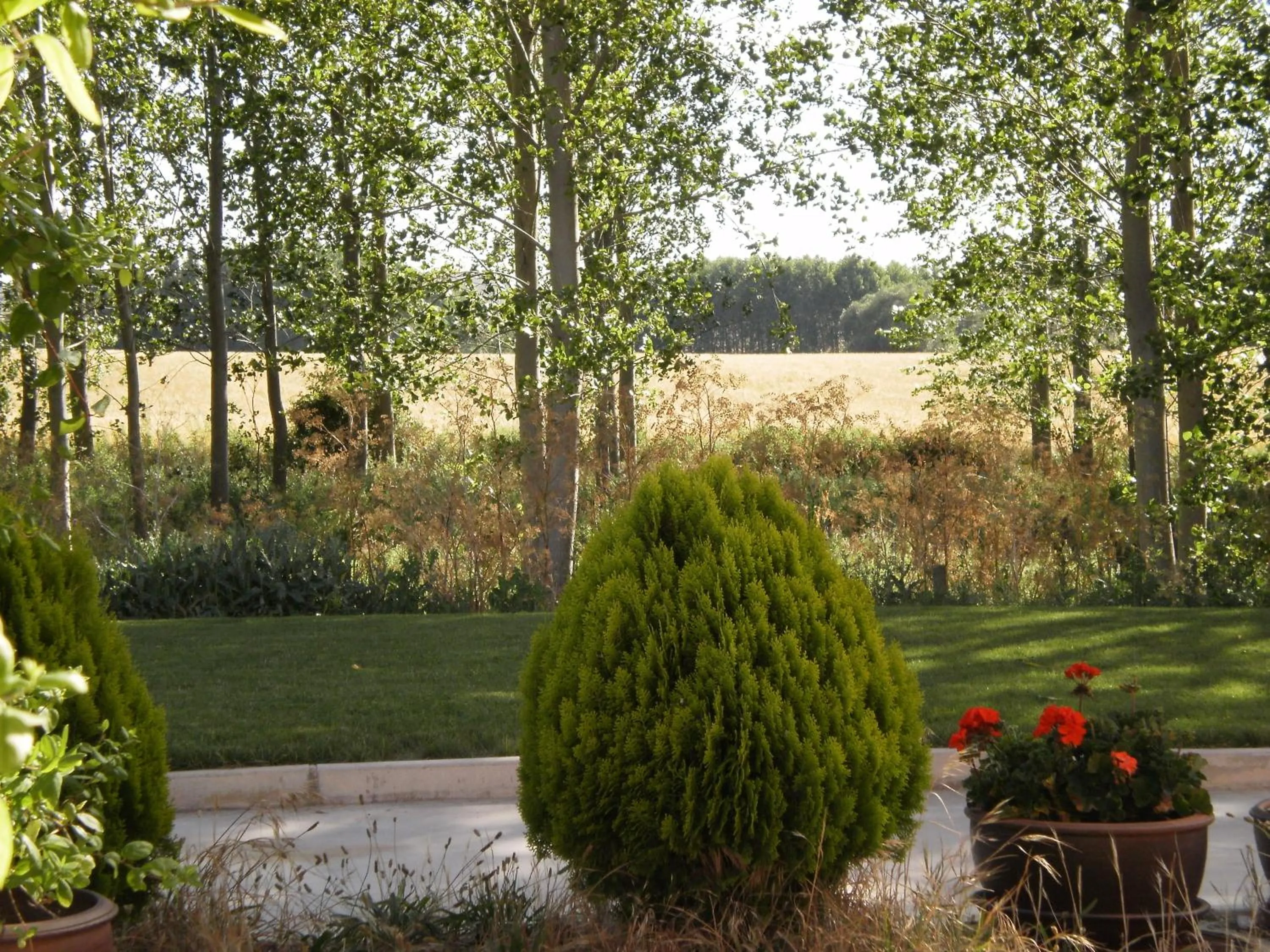 Garden view in Hotel Santa Coloma del Camino