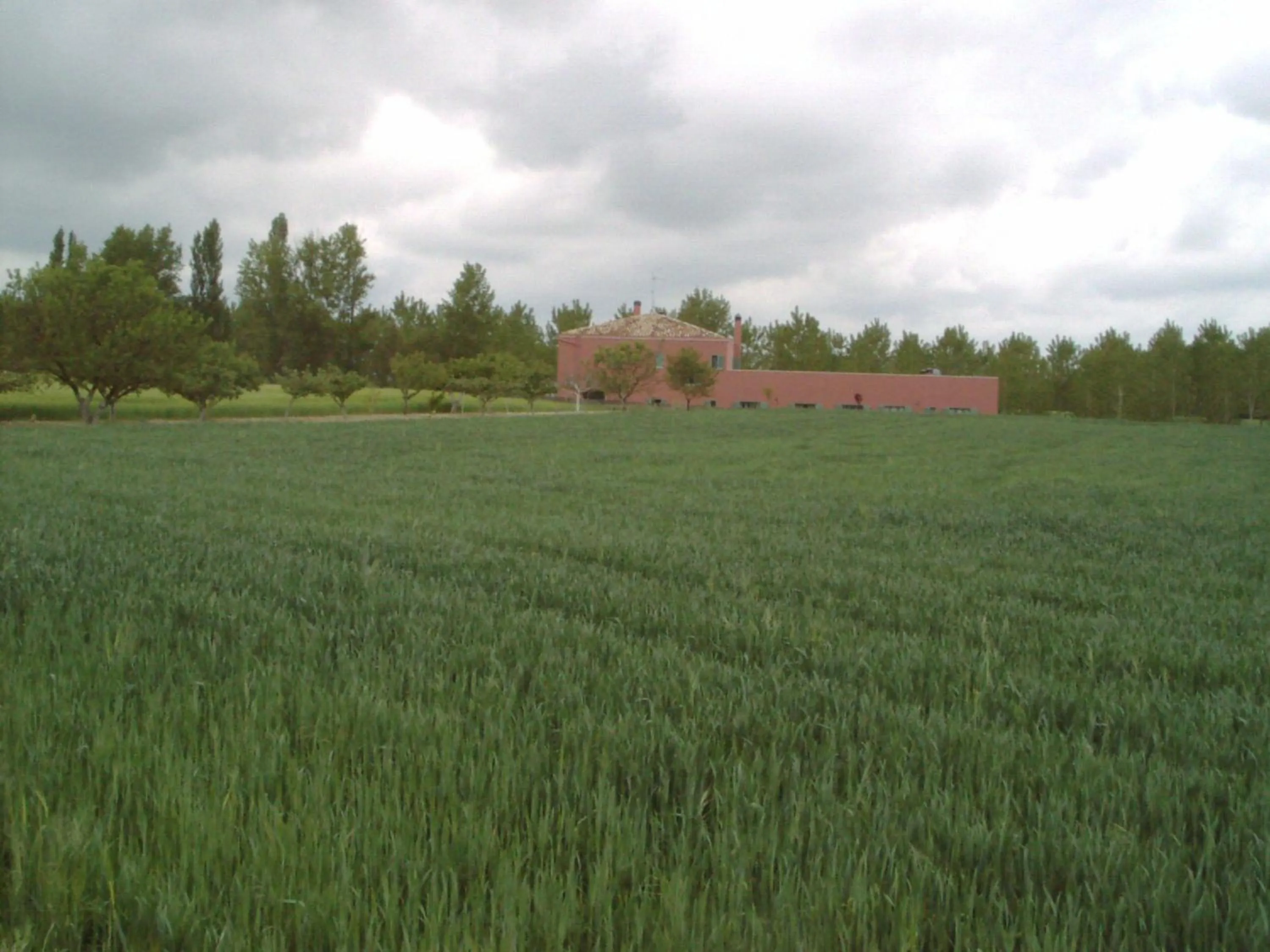 View (from property/room) in Hotel Santa Coloma del Camino