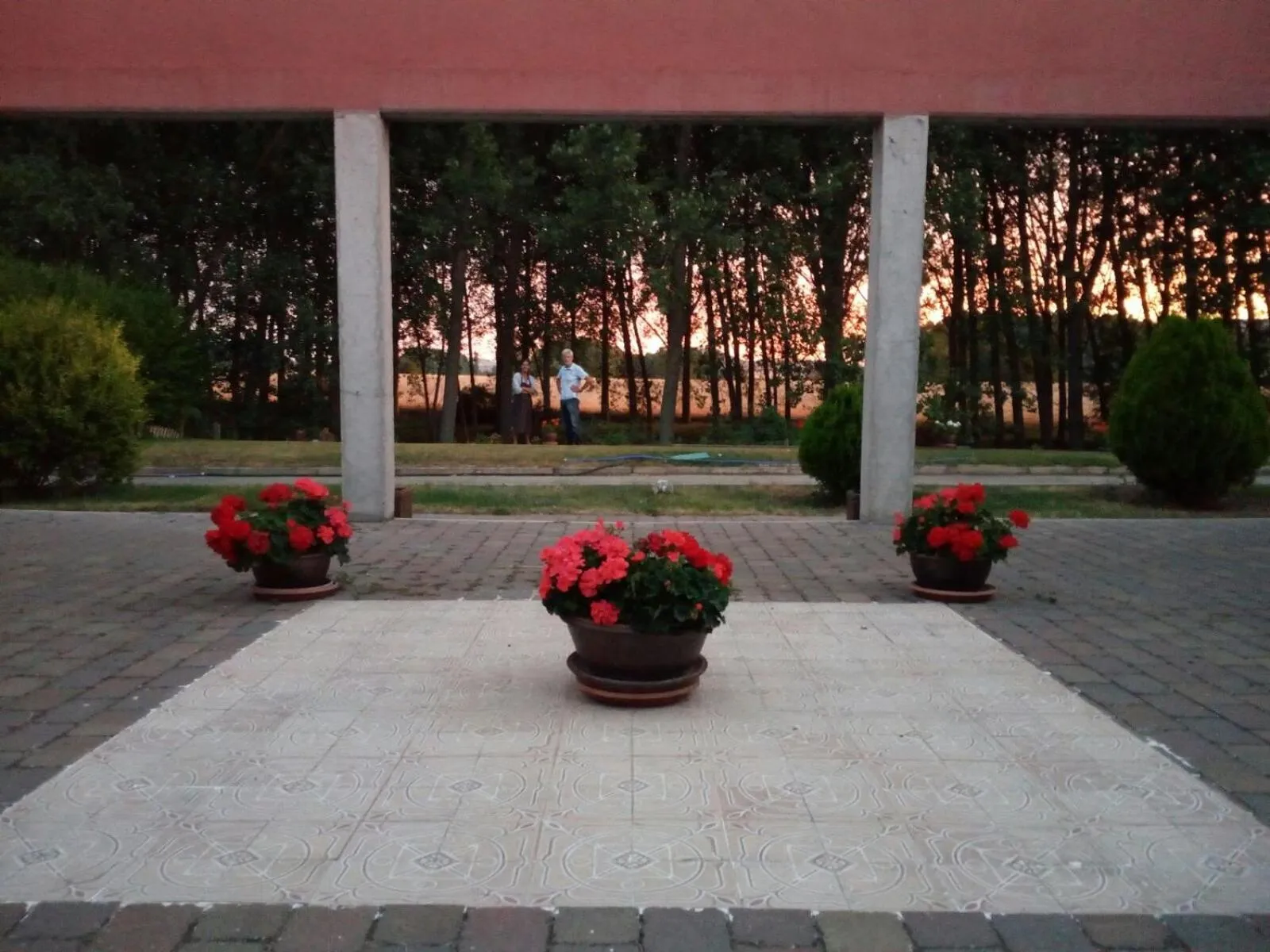 Garden view in Hotel Santa Coloma del Camino