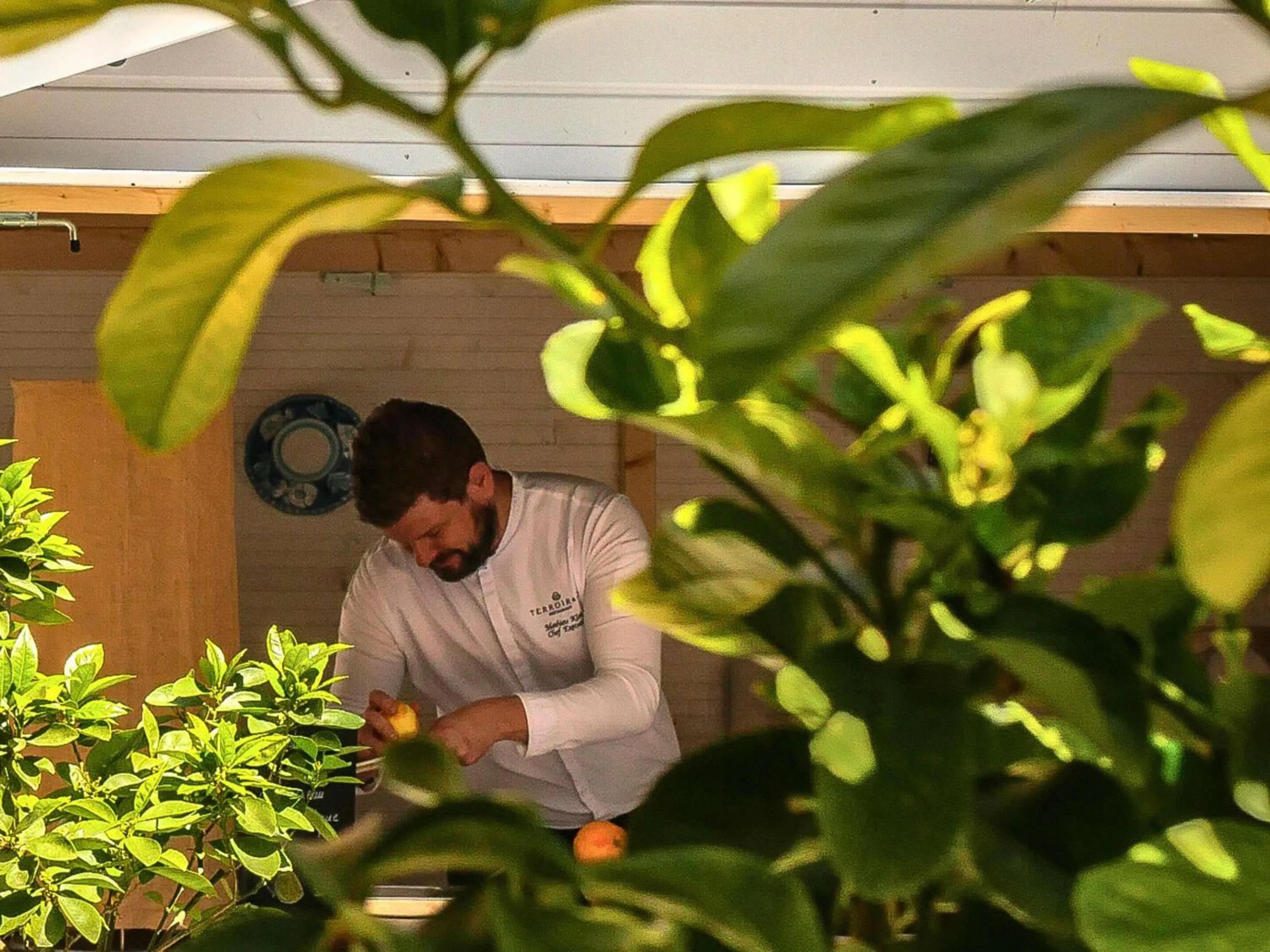 Restaurant/places to eat in Sofitel Strasbourg Grande Ile