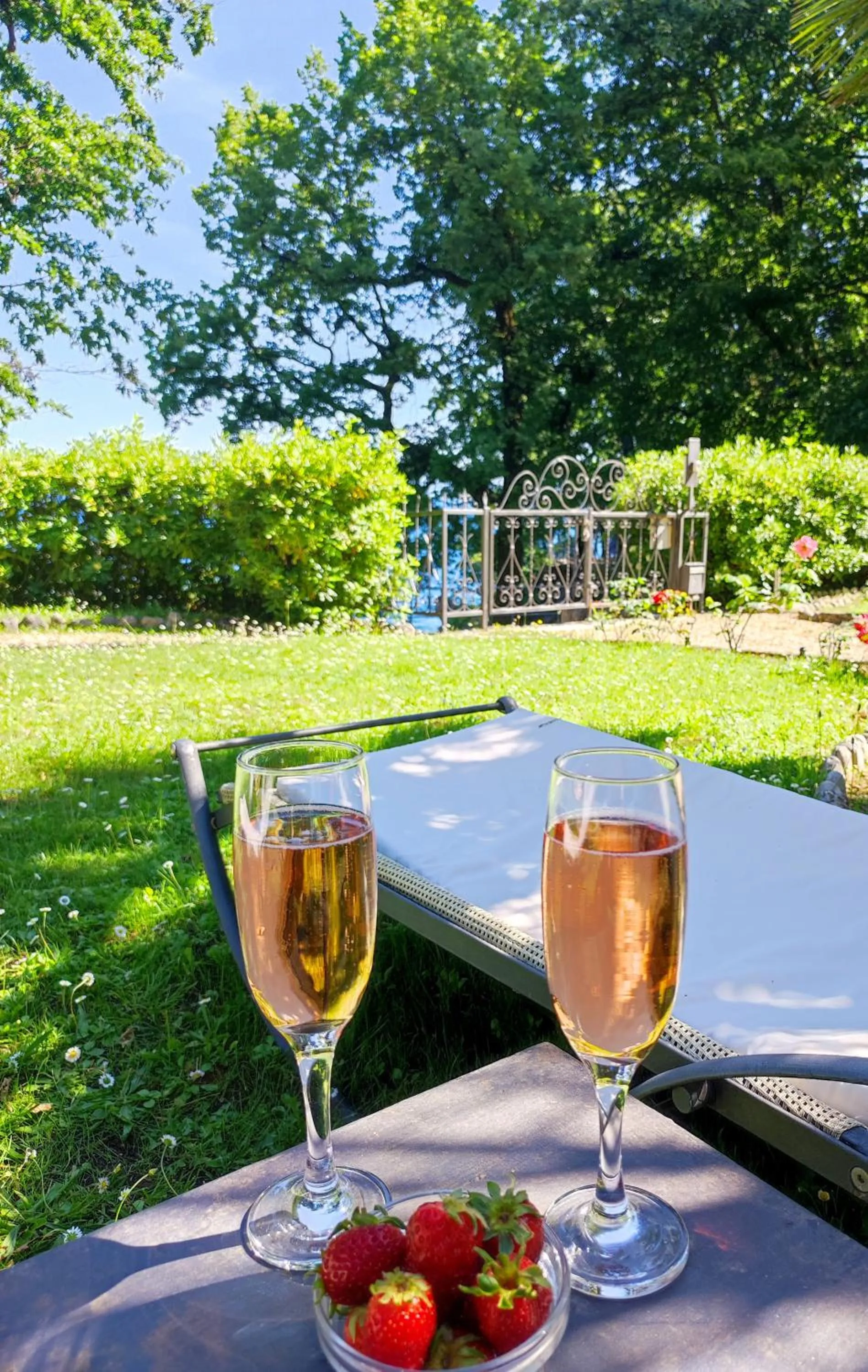 Garden view in Hotel Villa Astra