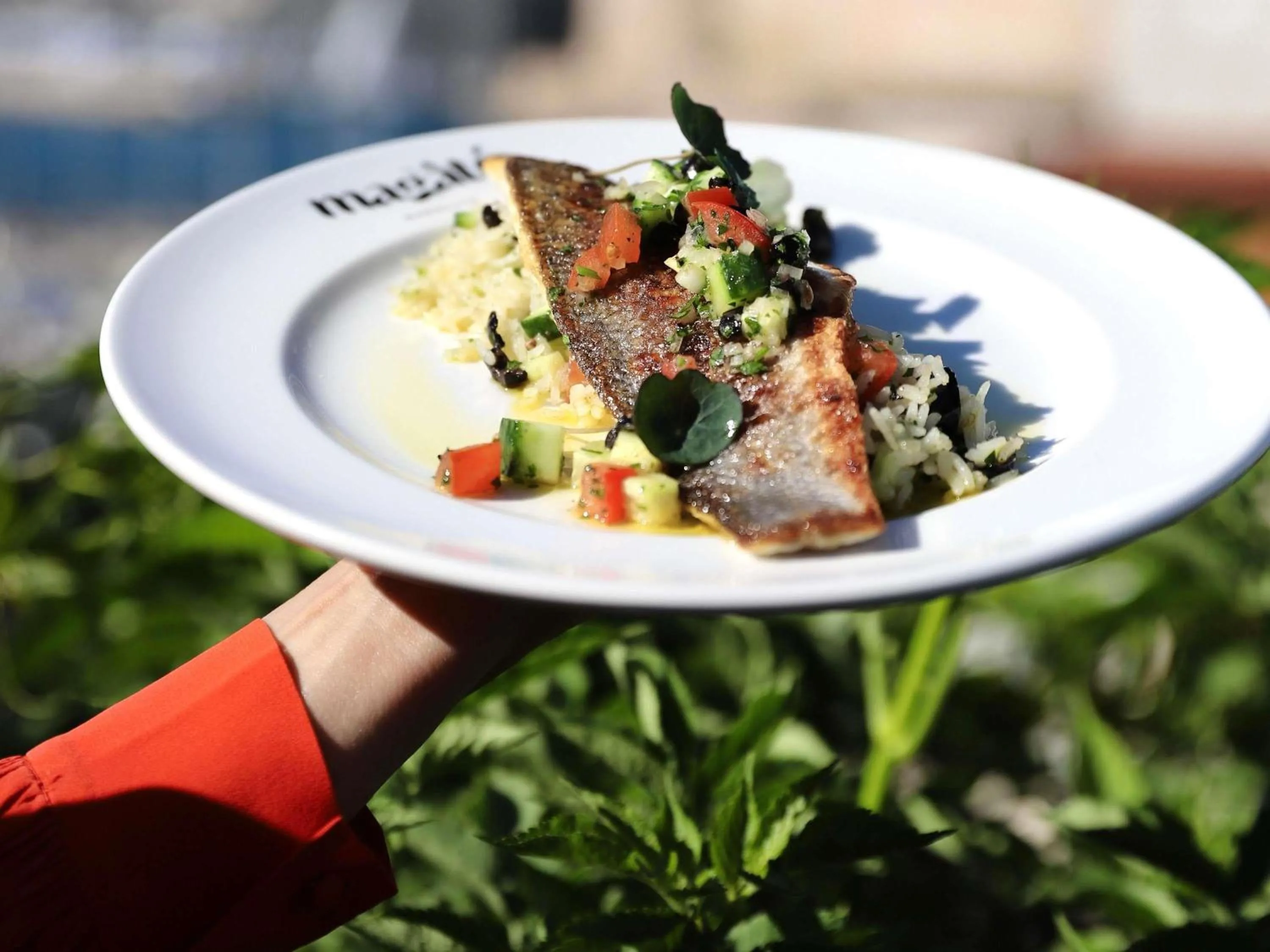 Restaurant/places to eat in Novotel Marseille Vieux Port