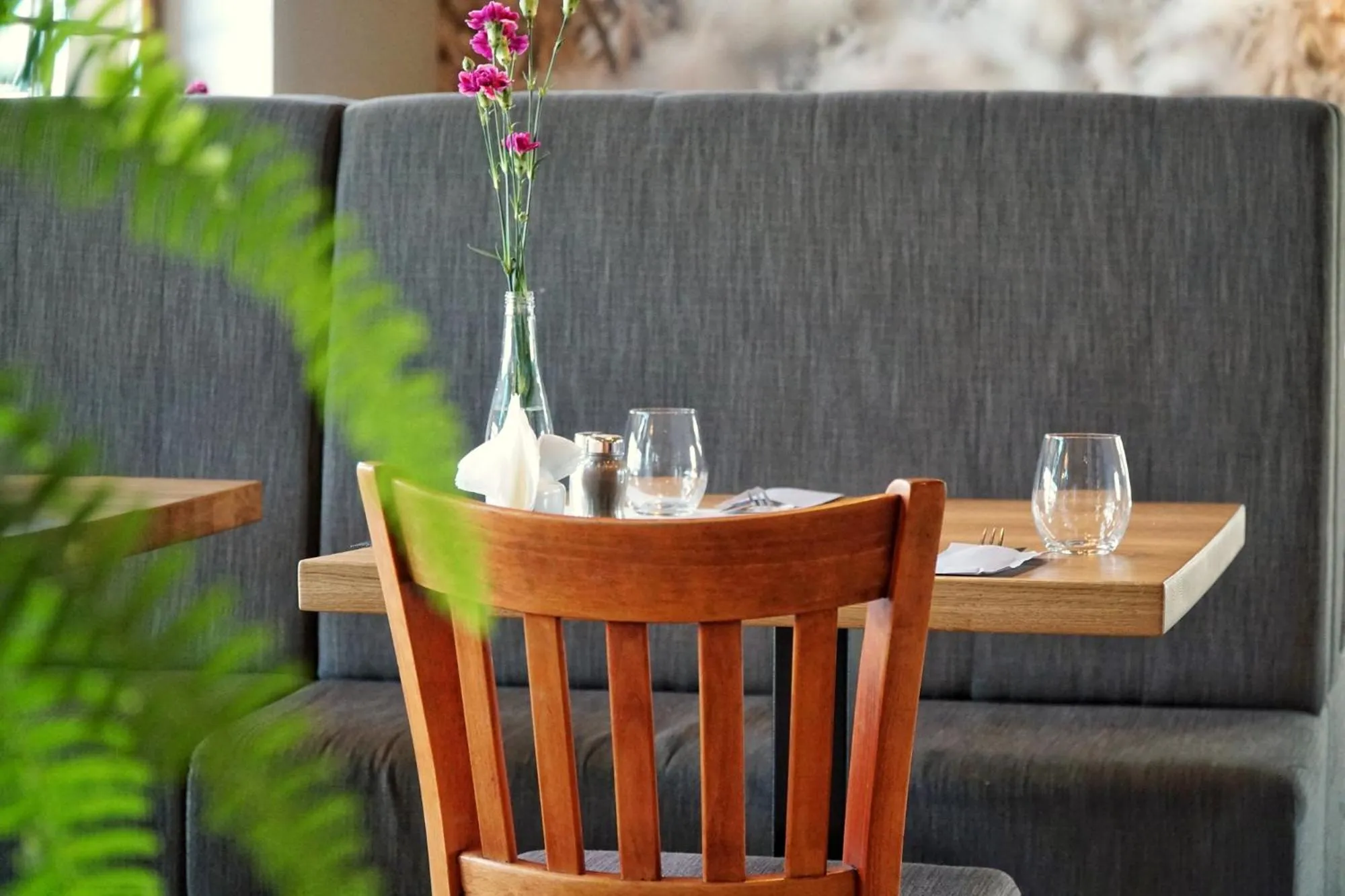 Restaurant/places to eat in Dwór Świętoszówka