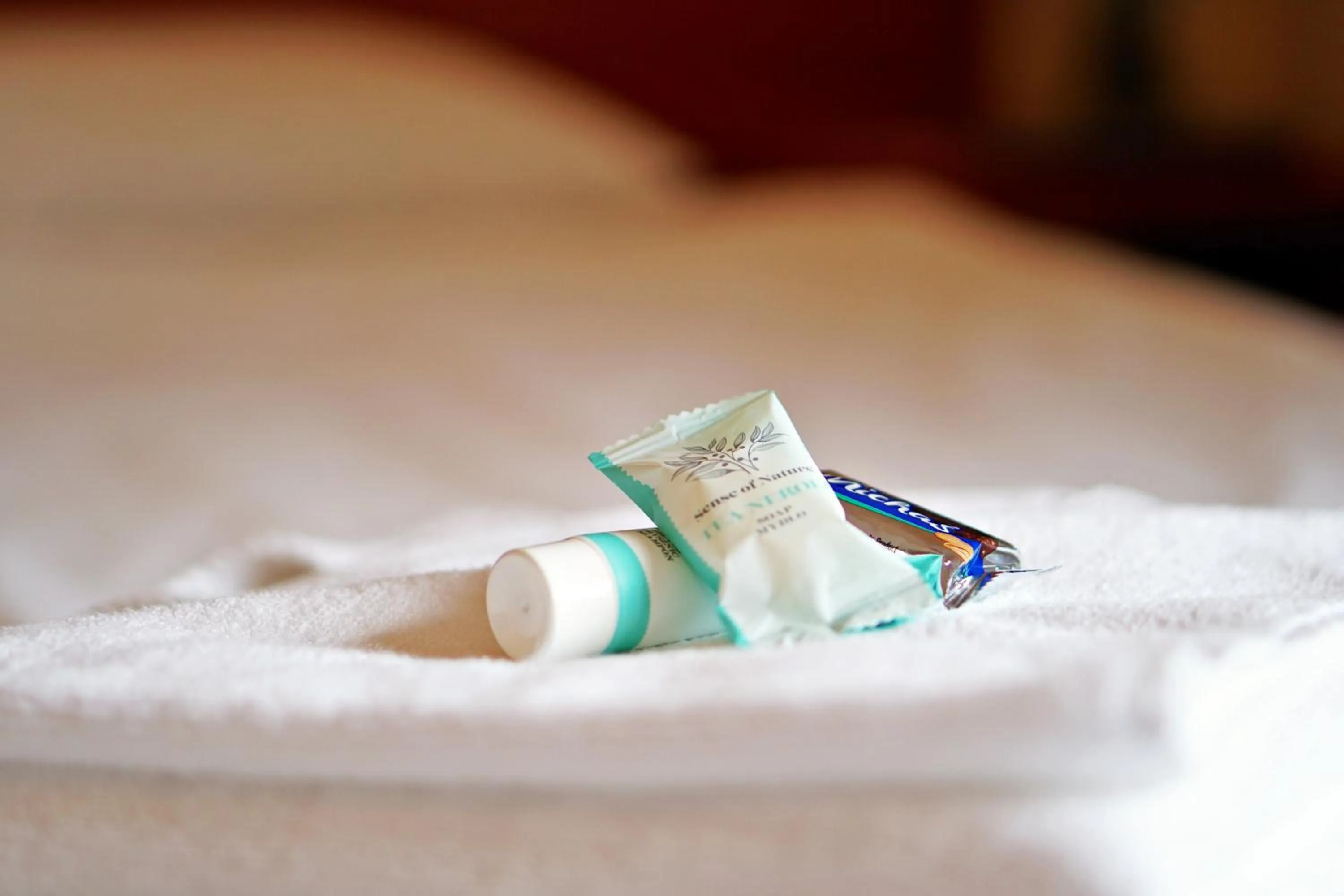 Photo of the whole room, Bed in Dwór Świętoszówka