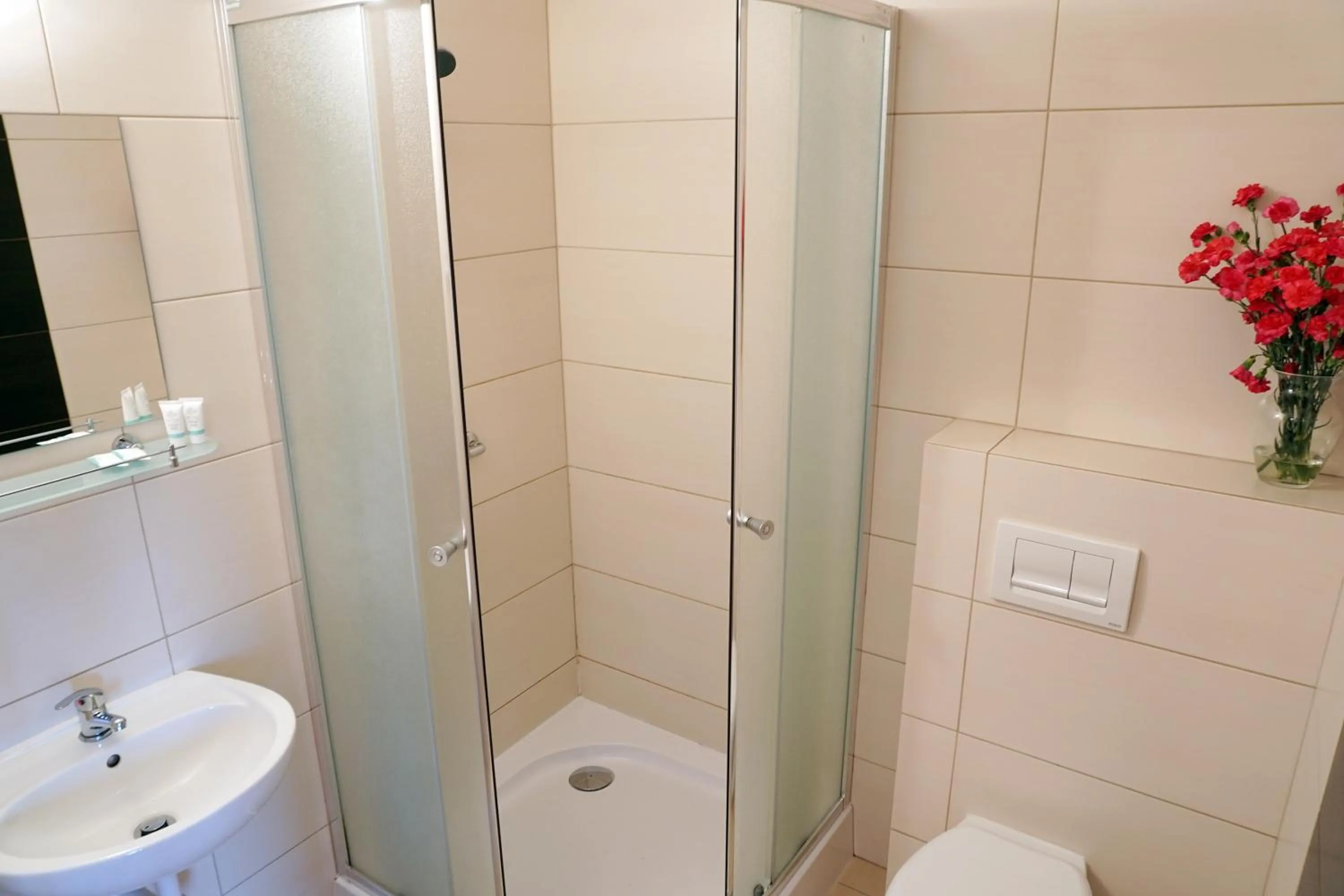 Bathroom in Dwór Świętoszówka