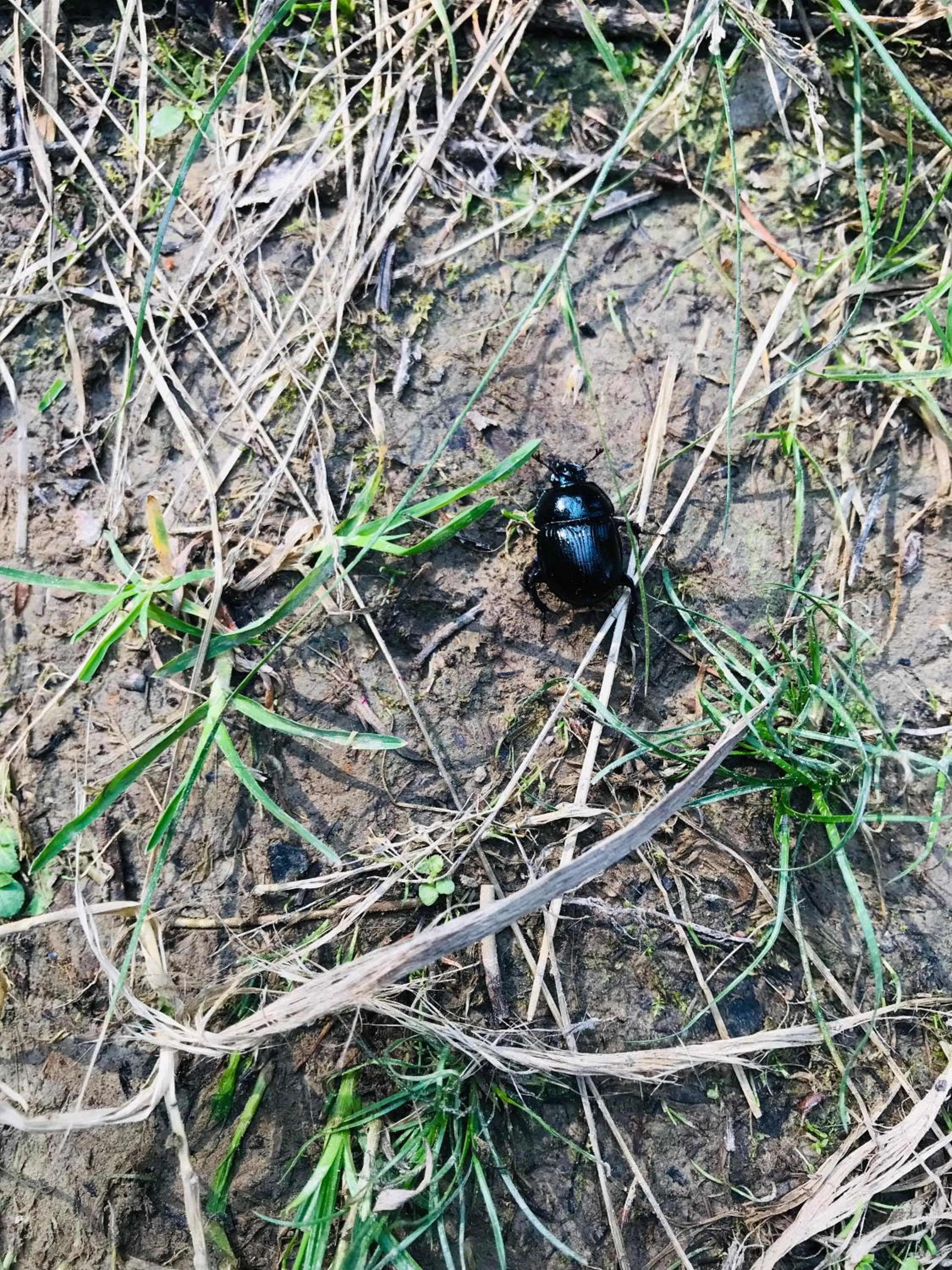Natural landscape in Pod Gromadzyniem Resort