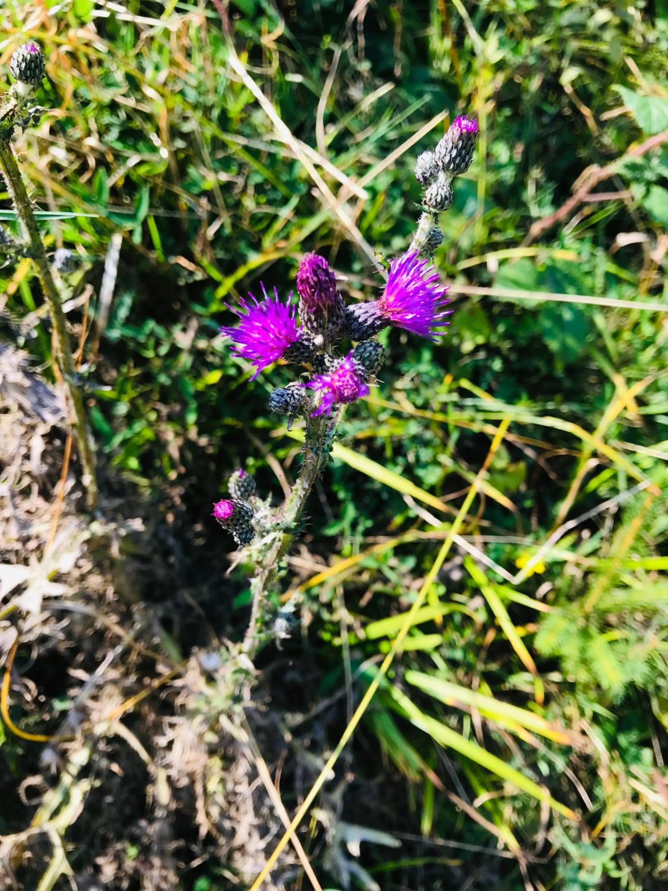 Hiking in Pod Gromadzyniem Resort