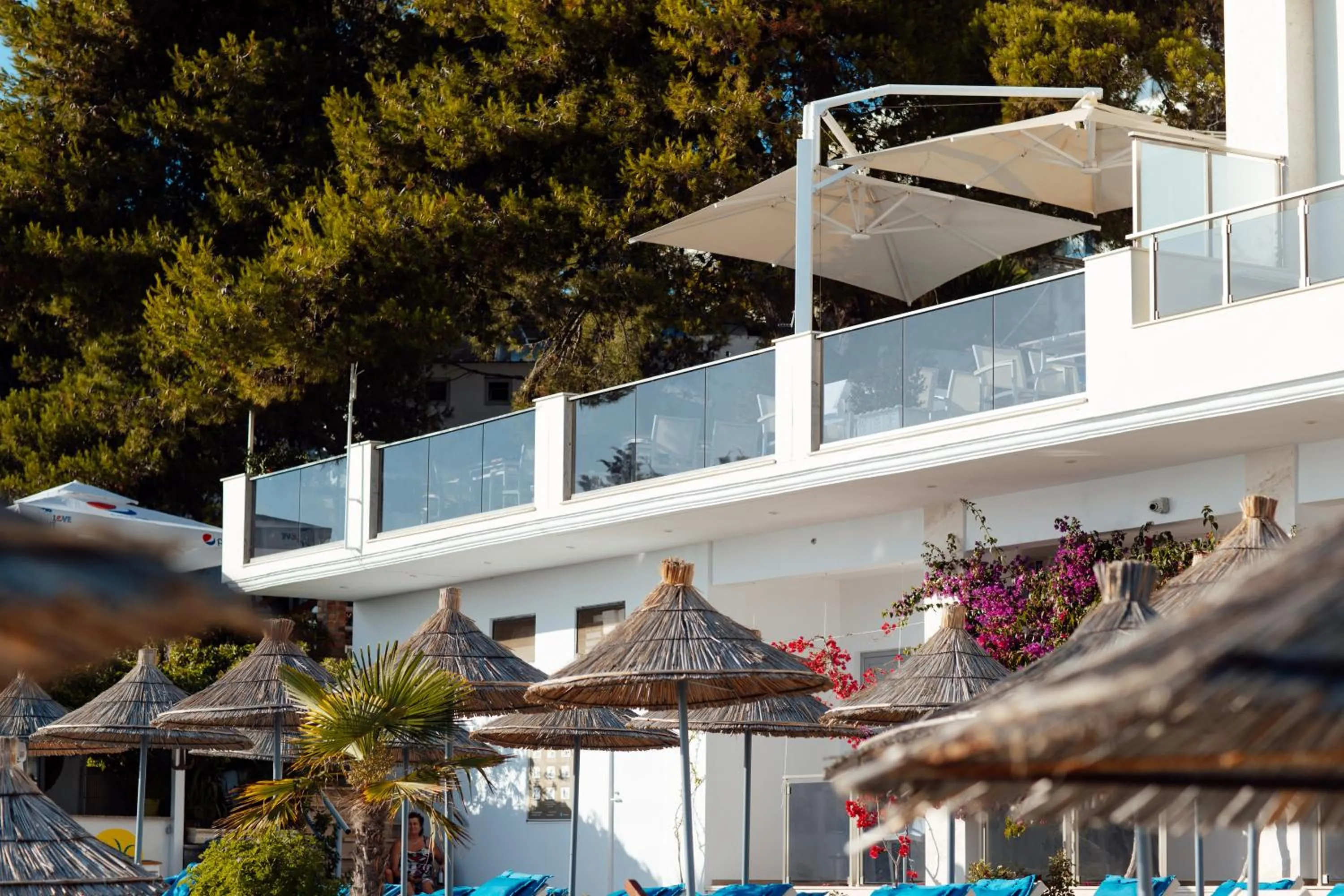 Restaurant/places to eat in Hotel Jaroal