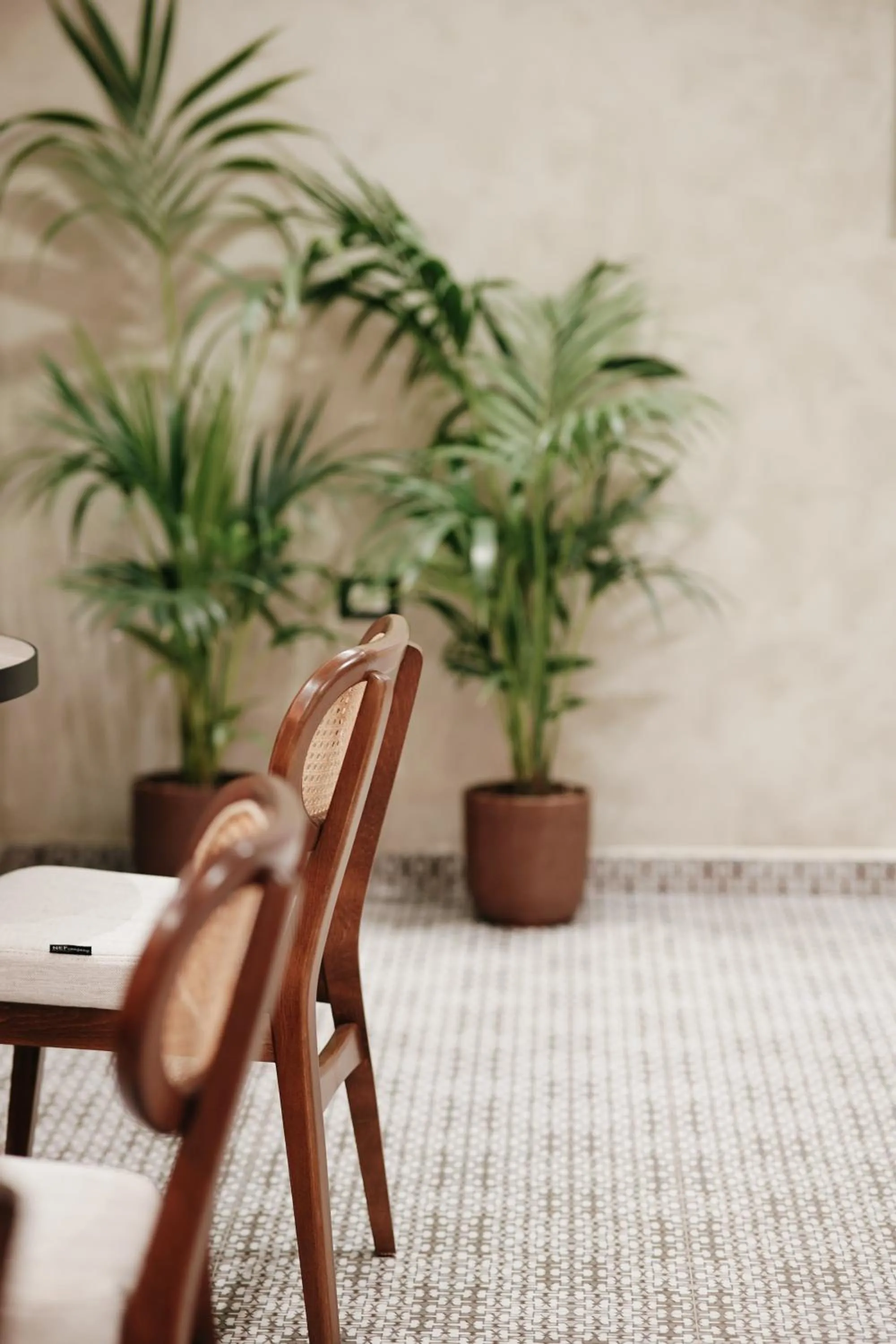 Breakfast in Hotel Jaroal