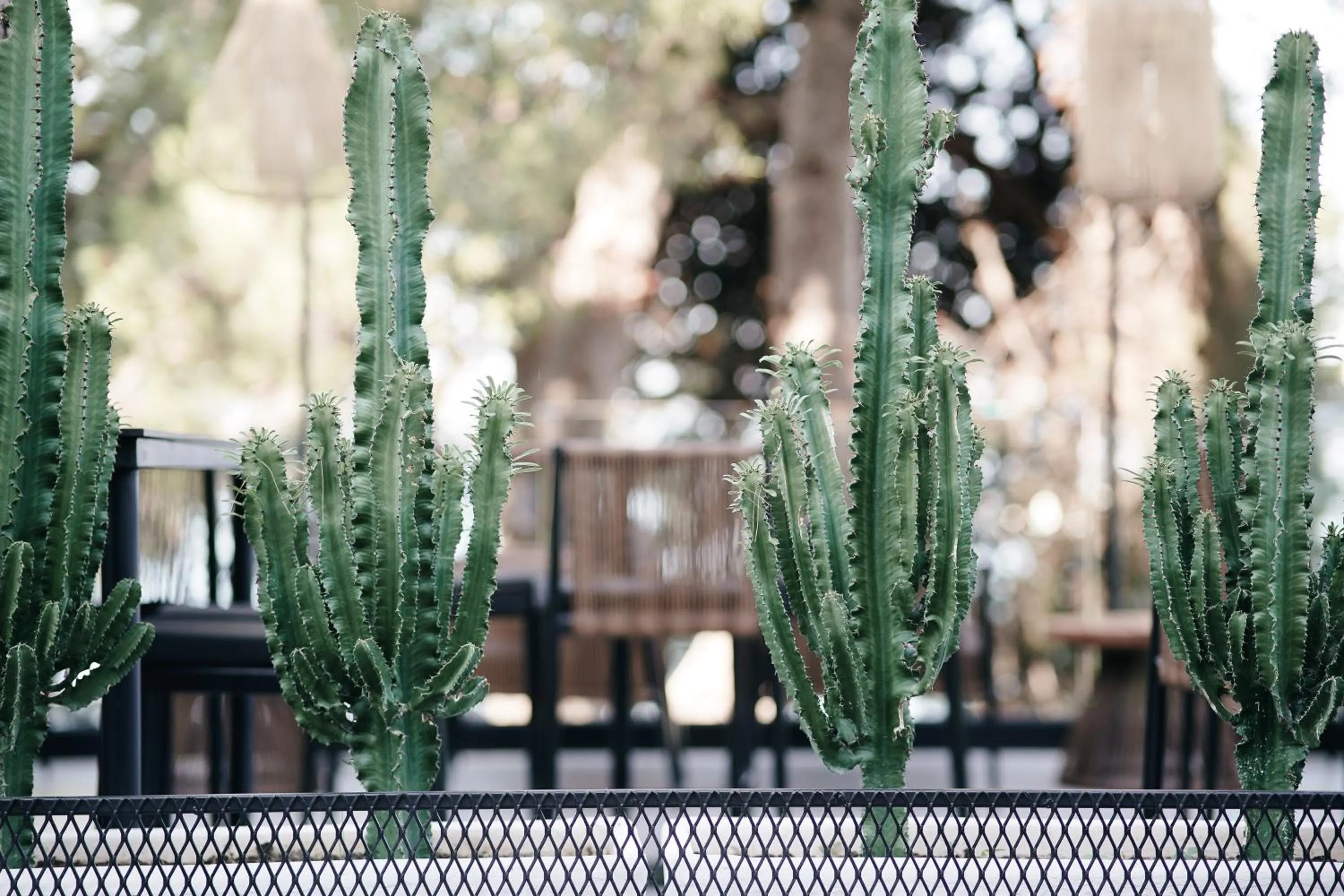 Lounge or bar in Hotel Jaroal