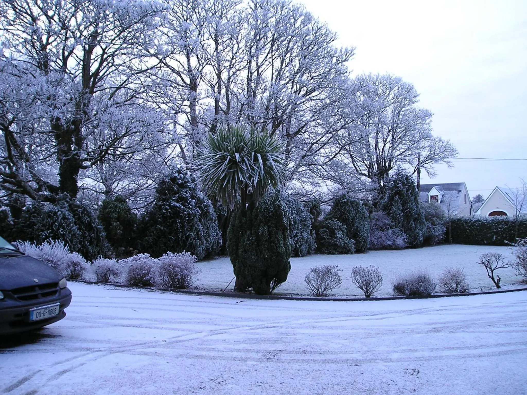 Winter in Mountain View Guesthouse