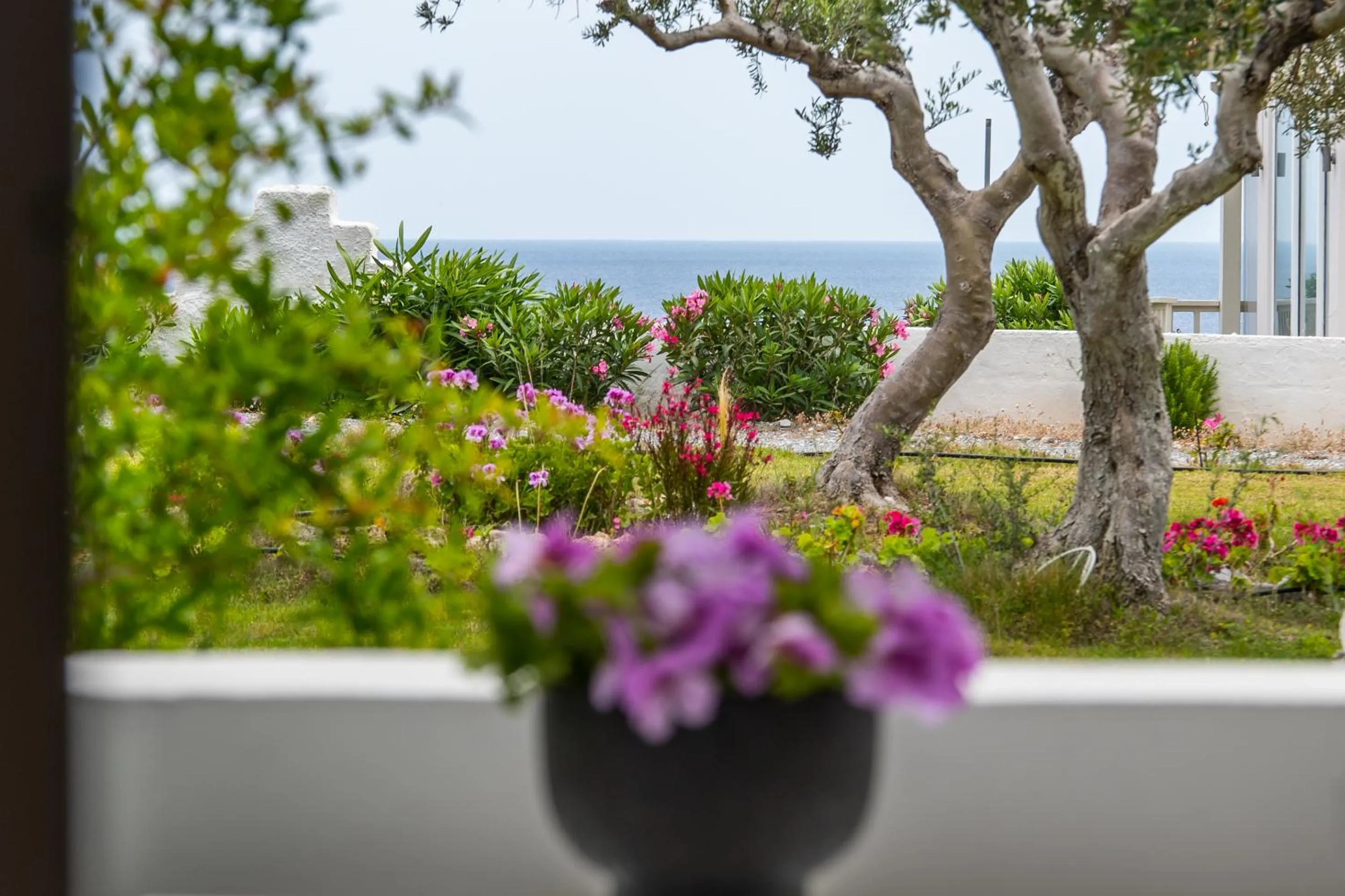 Garden in Fata Morgana Studios & Apartments