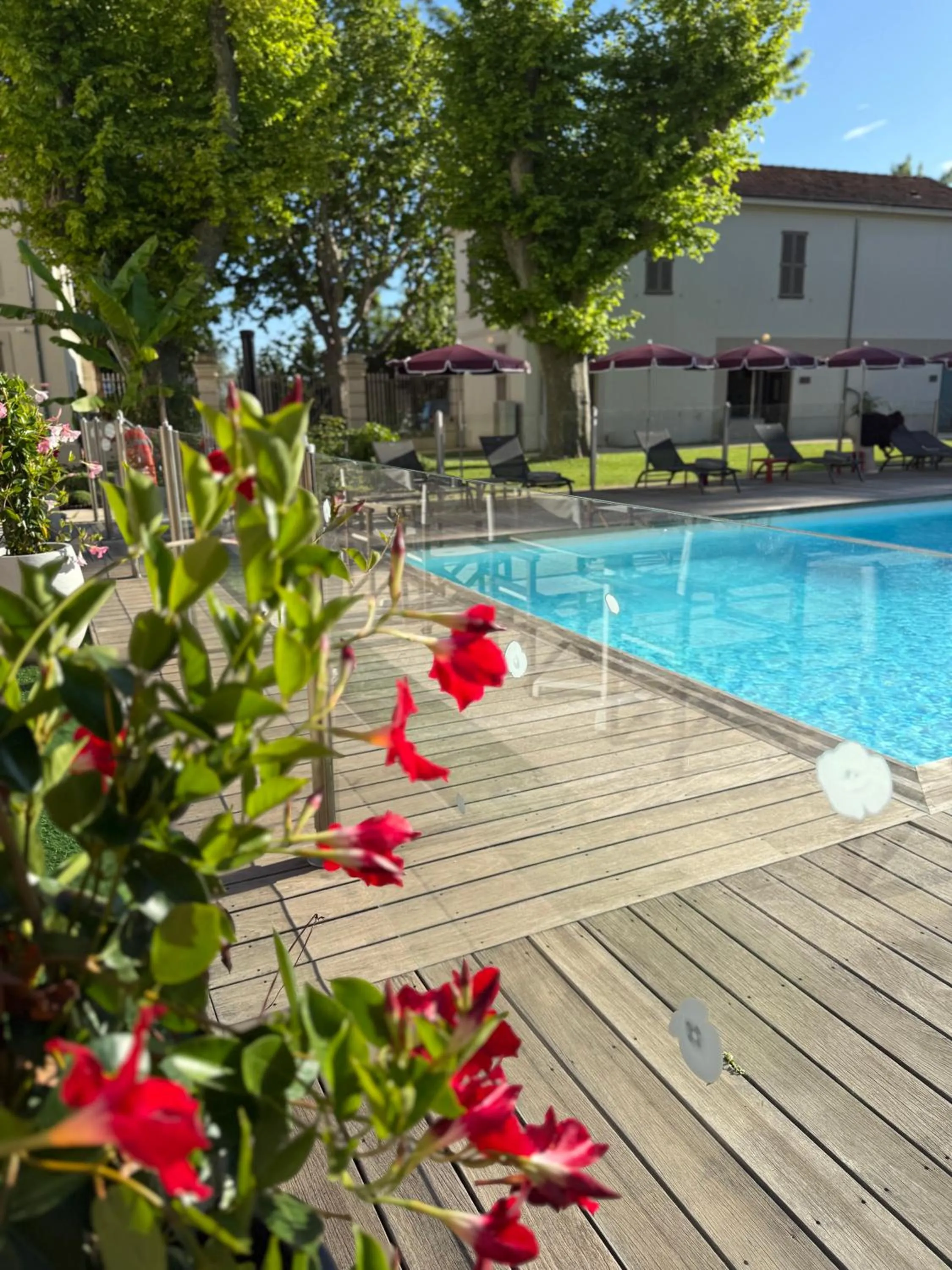 Garden in Best Western PLUS Elixir Grasse