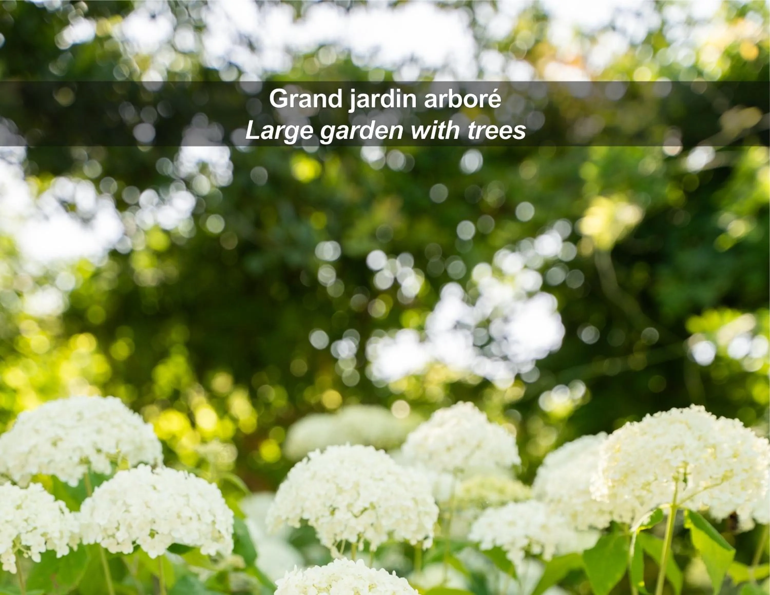 Garden in HÔTEL LA FERME DE BOURRAN - RODEZ - parking privé, soirée étape, bornes voitures électriques