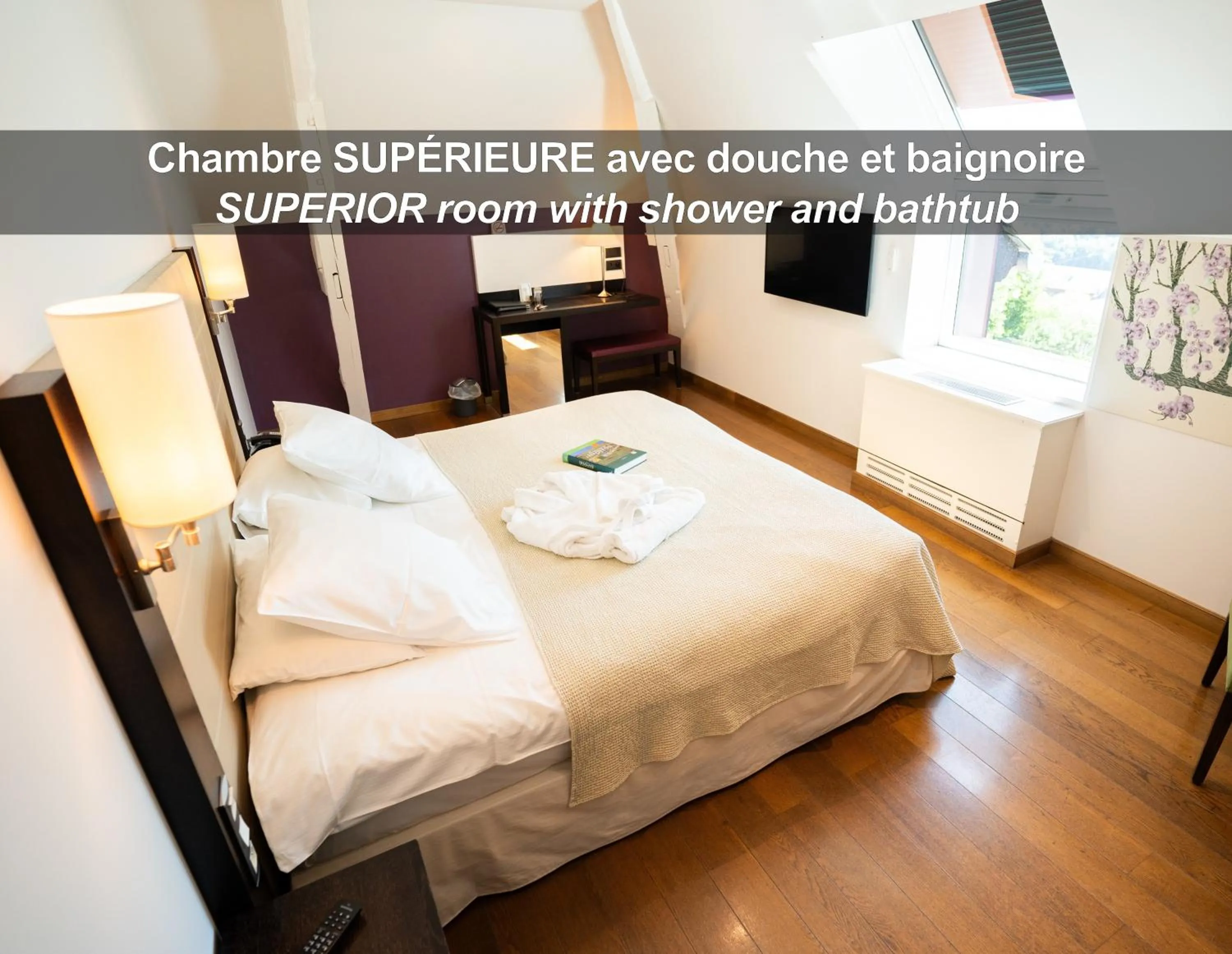 TV and multimedia, Bed in HÔTEL LA FERME DE BOURRAN - RODEZ - parking privé, soirée étape, bornes voitures électriques