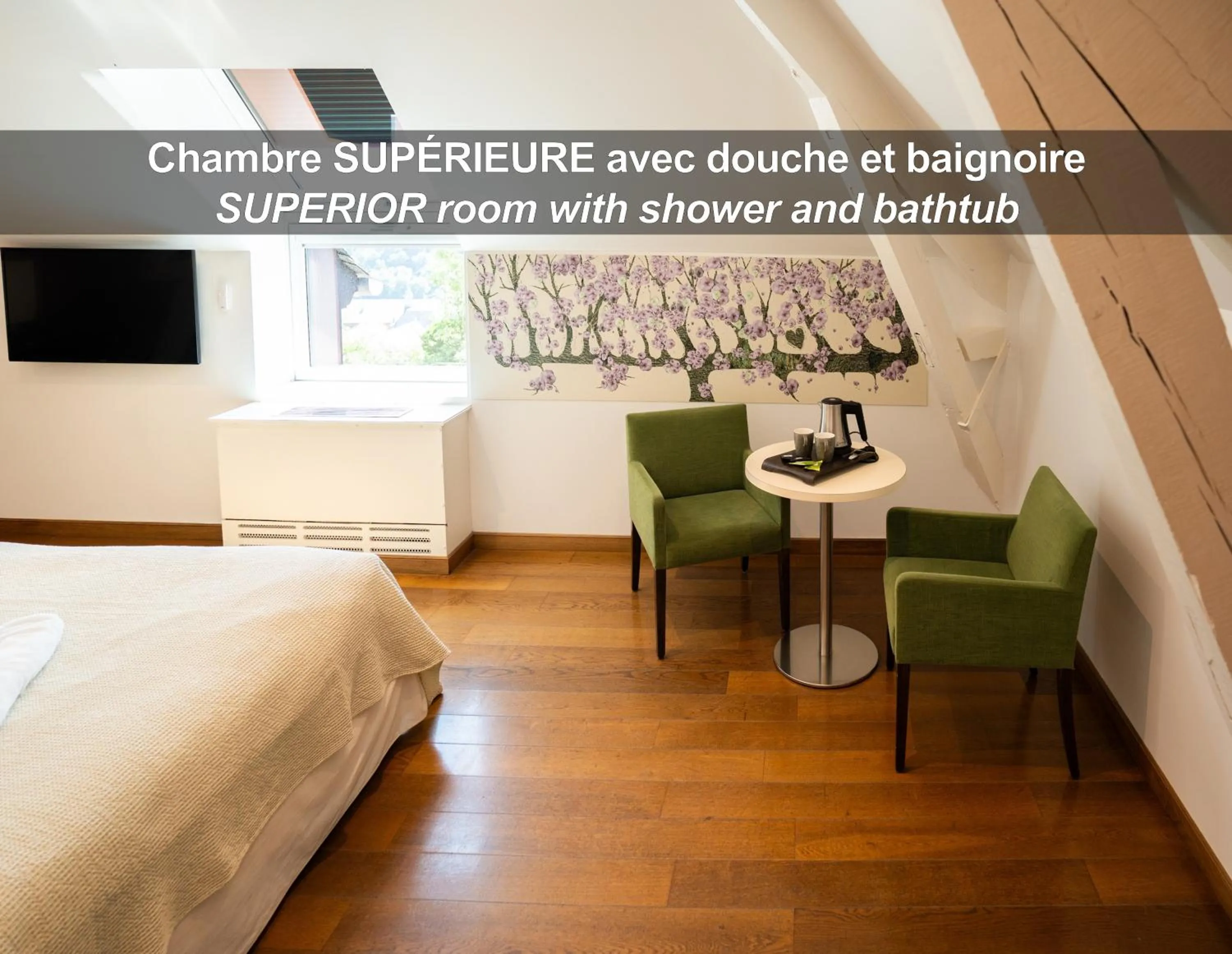 TV and multimedia, Bed in HÔTEL LA FERME DE BOURRAN - RODEZ - parking privé, soirée étape, bornes voitures électriques