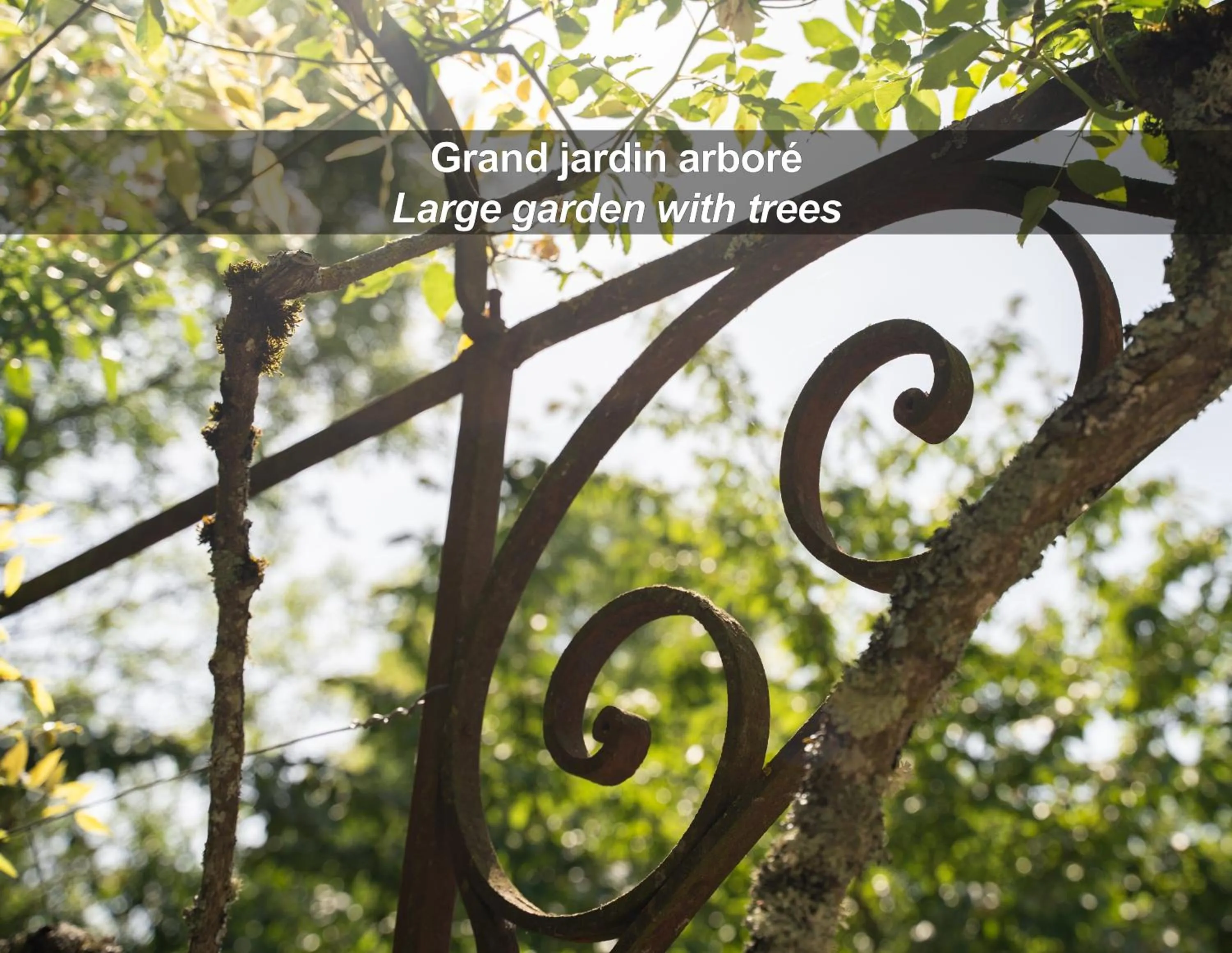 Garden in HÔTEL LA FERME DE BOURRAN - RODEZ - parking privé, soirée étape, bornes voitures électriques