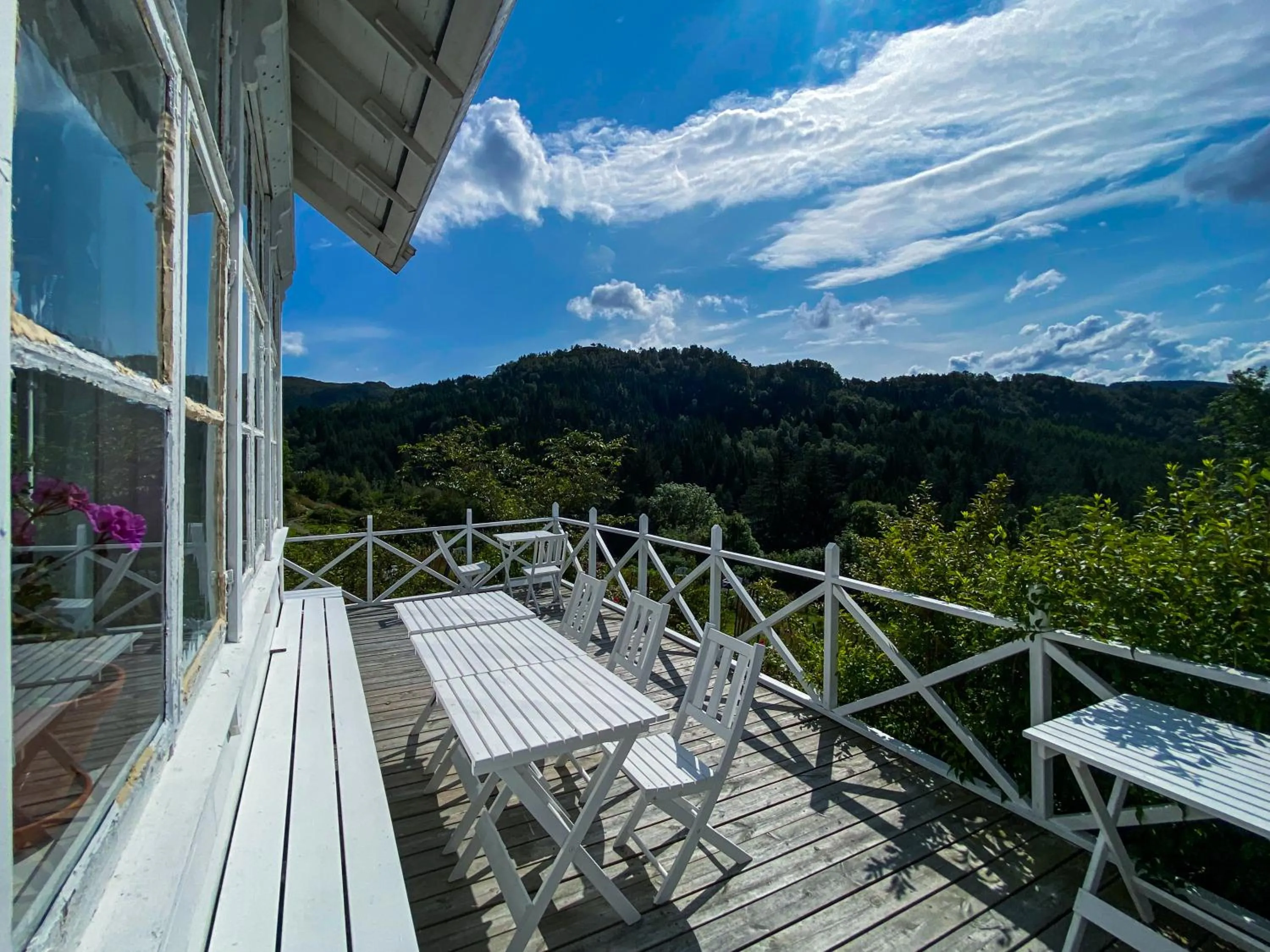 Natural landscape in Haaheim Gaard