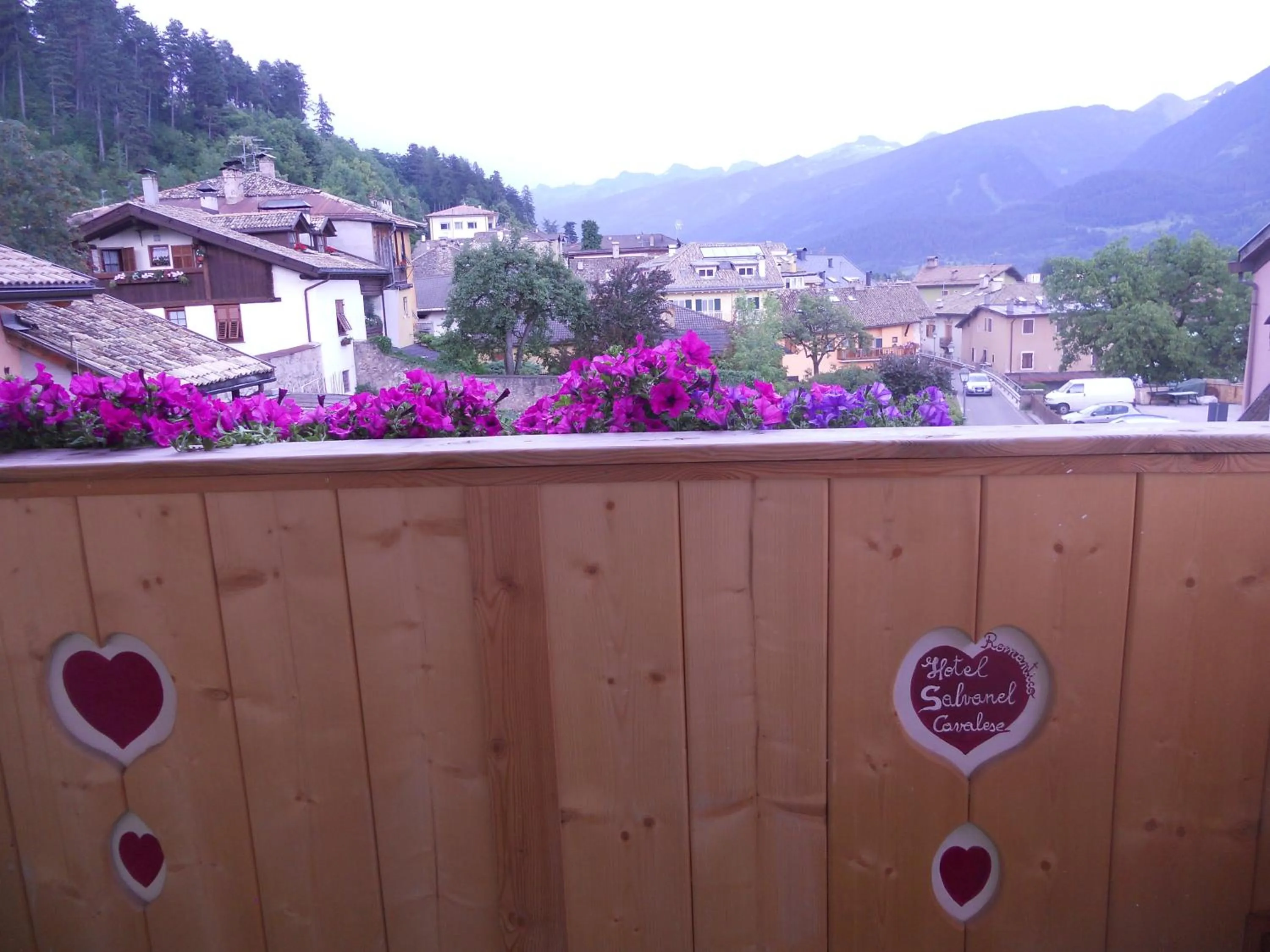 Balcony/Terrace in Hotel Garnì Salvanel