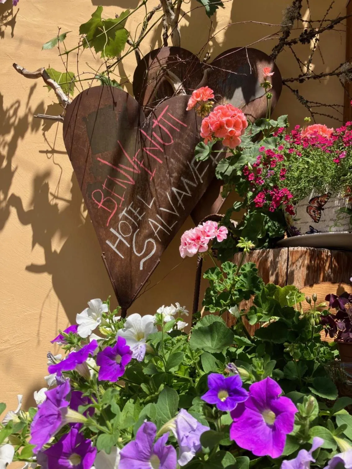 Property building in Hotel Garnì Salvanel