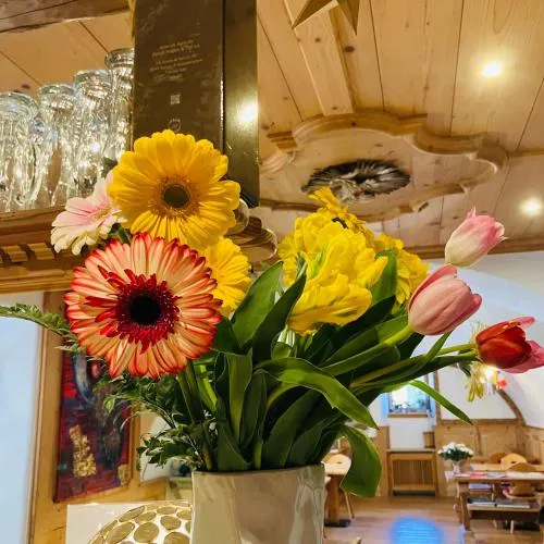 Hotel Garnì Salvanel