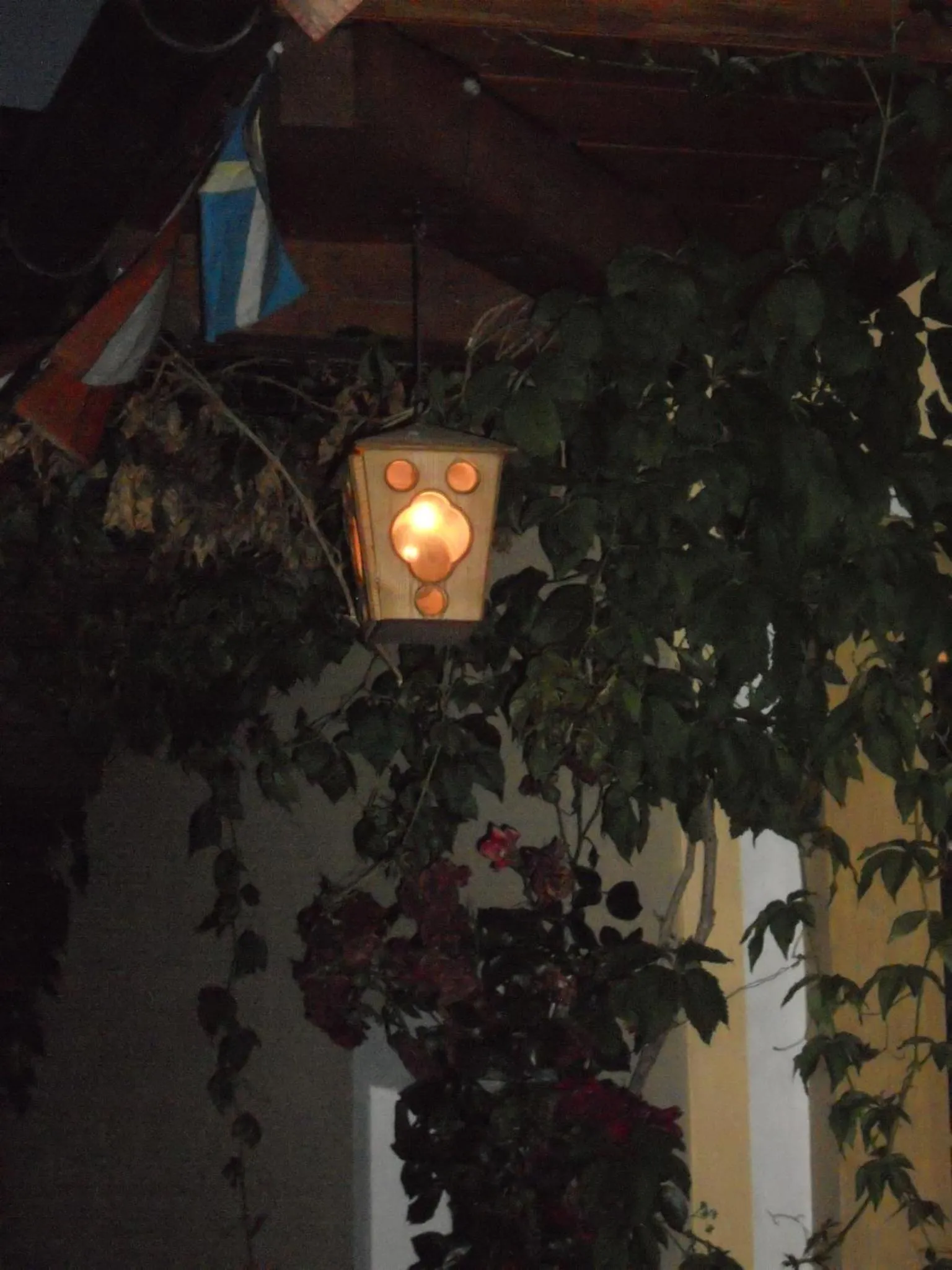 Quiet street view in Hotel Garnì Salvanel