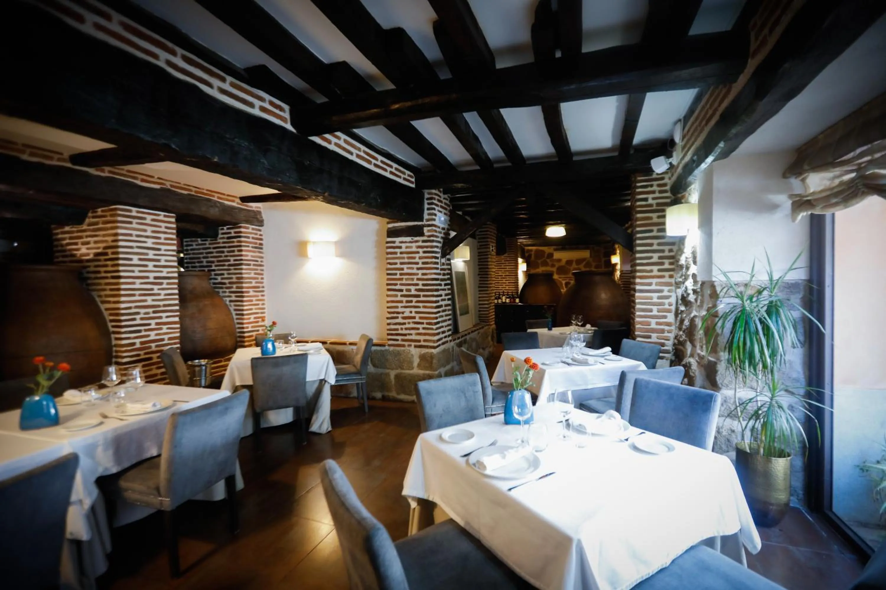 Hacienda la Coracera