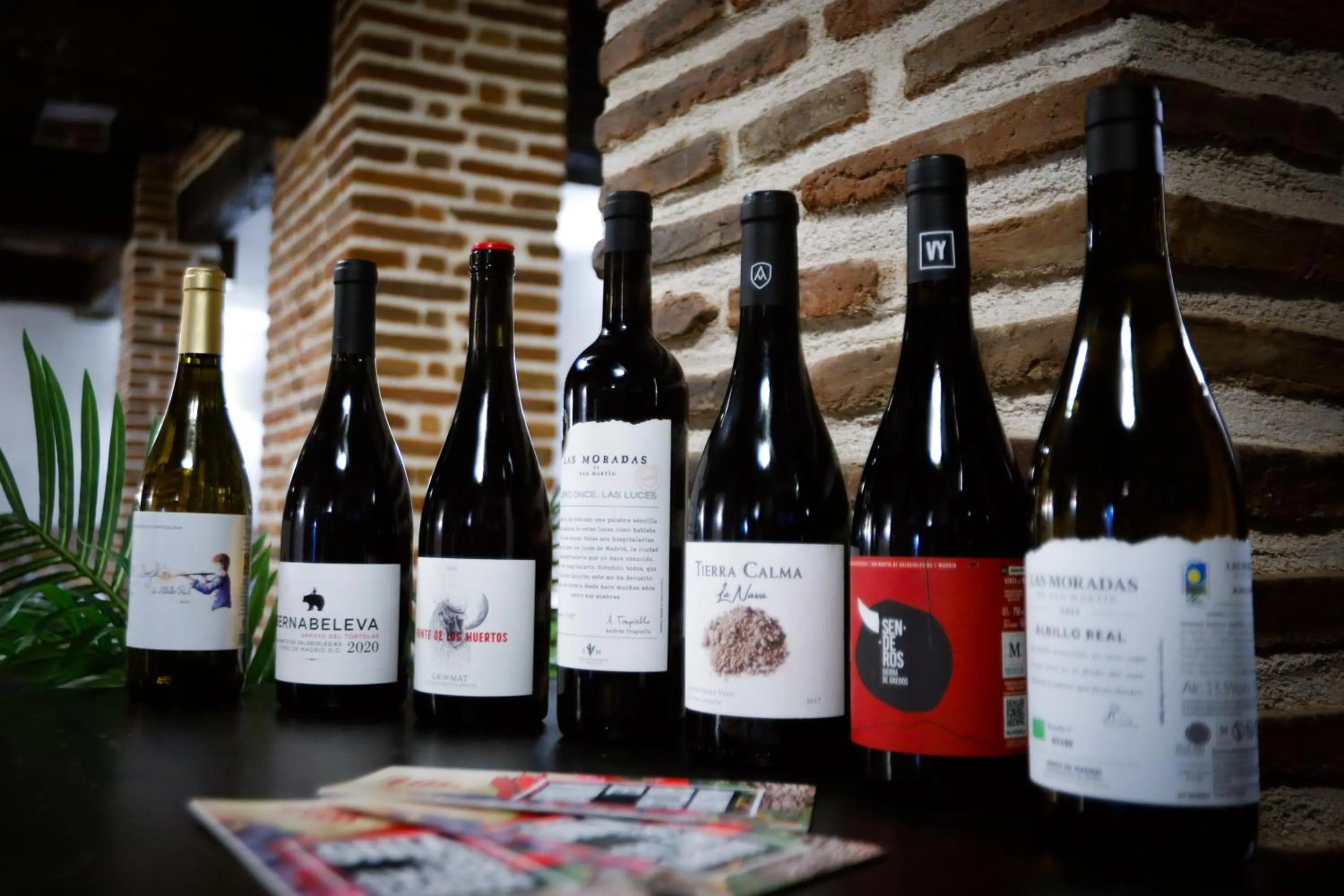 Hacienda la Coracera