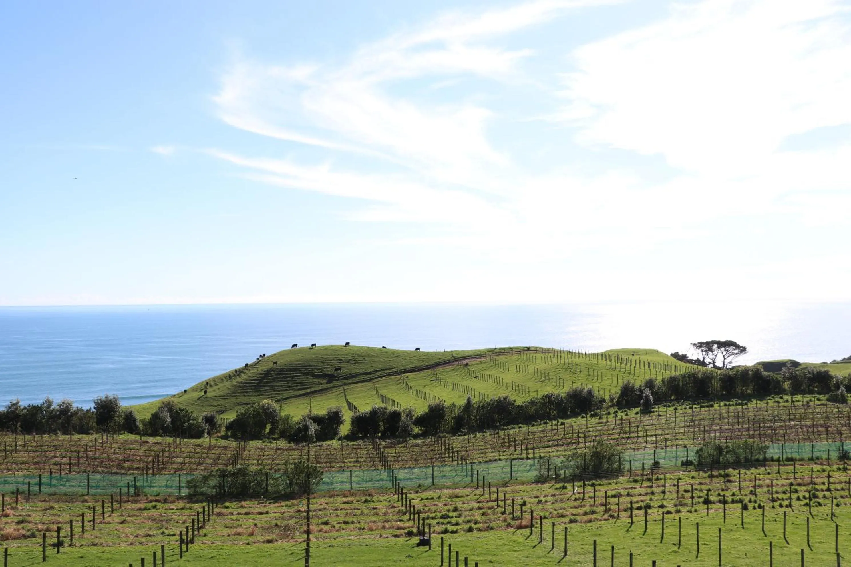 Sea view in Chalets at Okurukuru