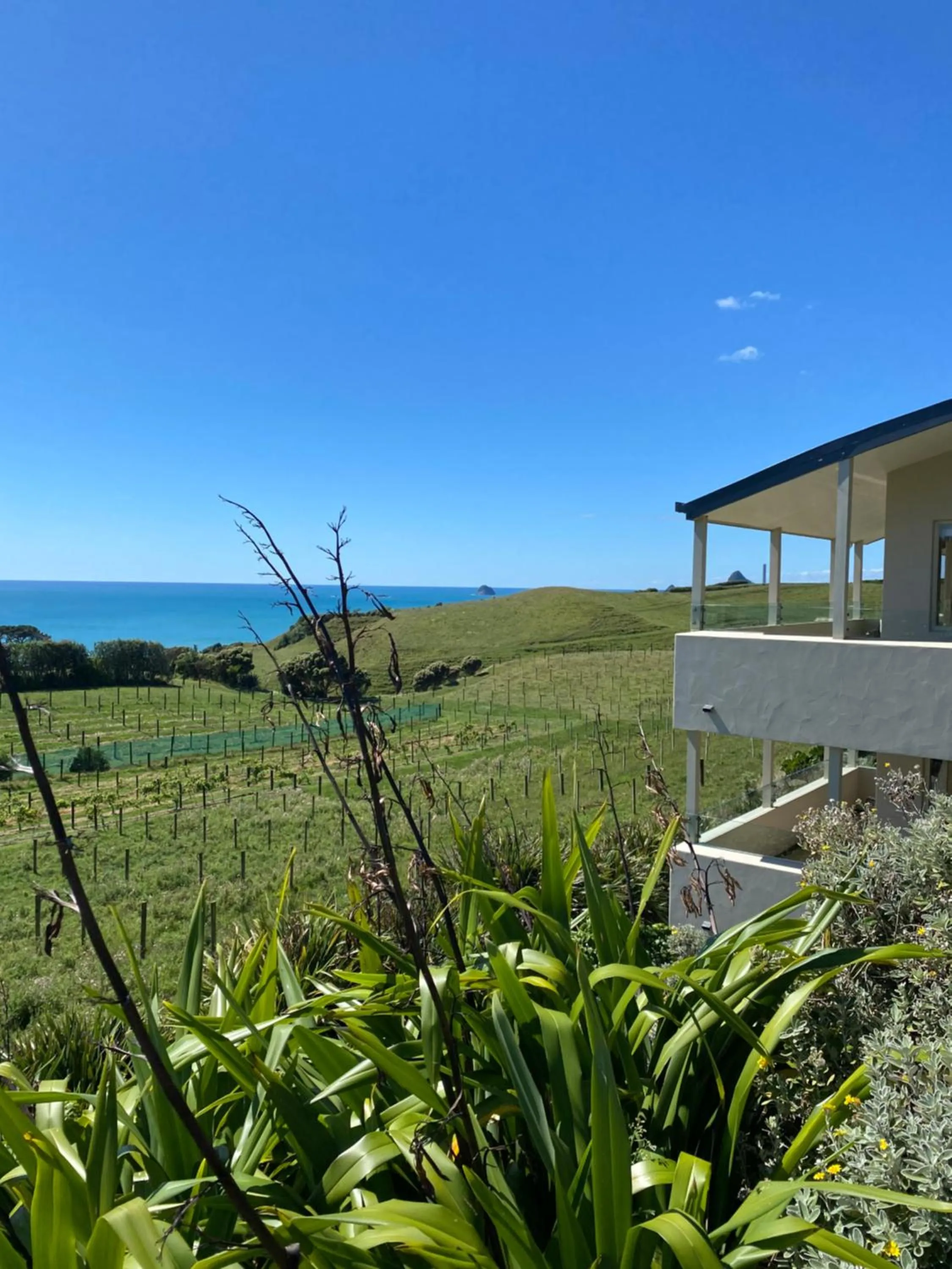 View (from property/room) in Chalets at Okurukuru